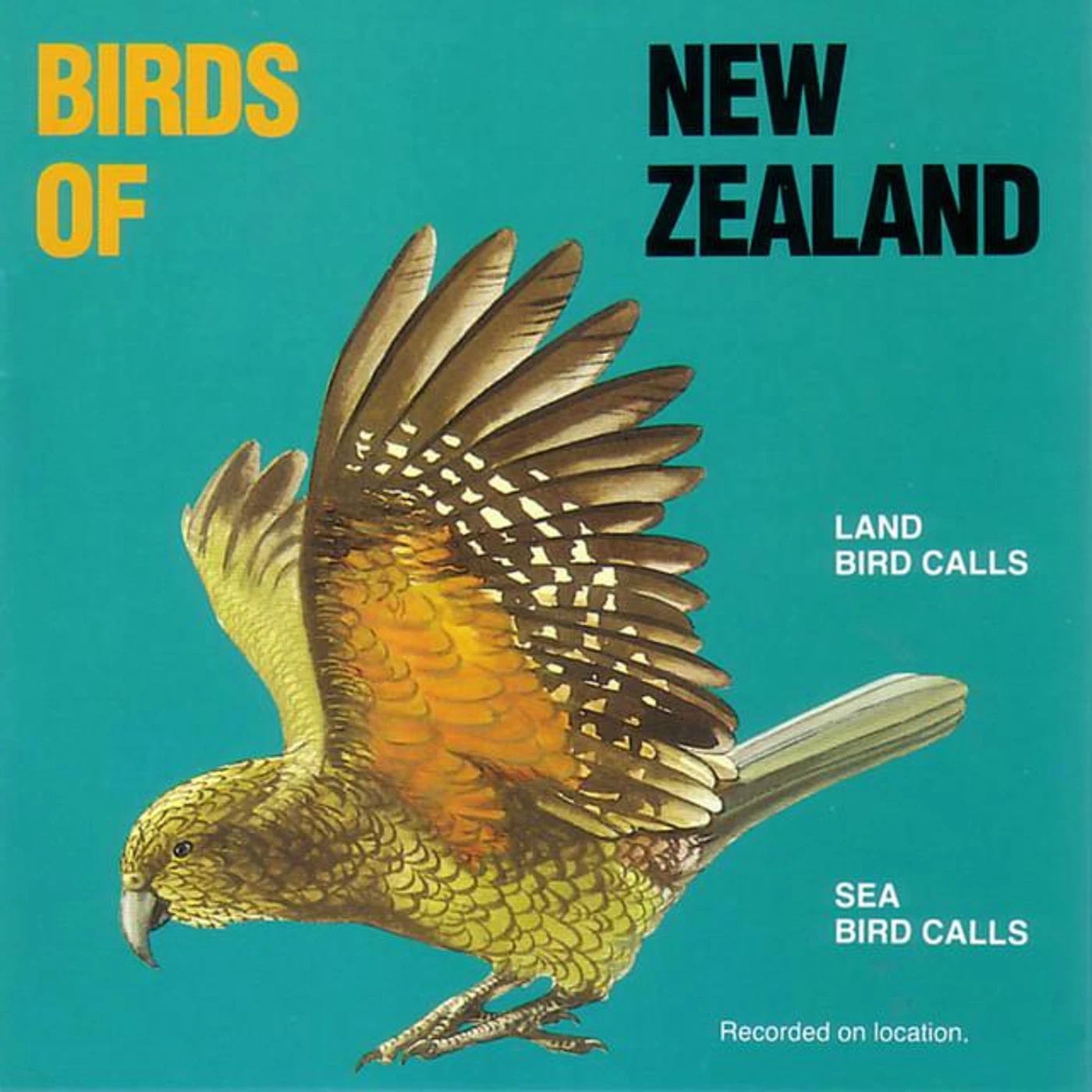 Birds of New Zealand Brand Page