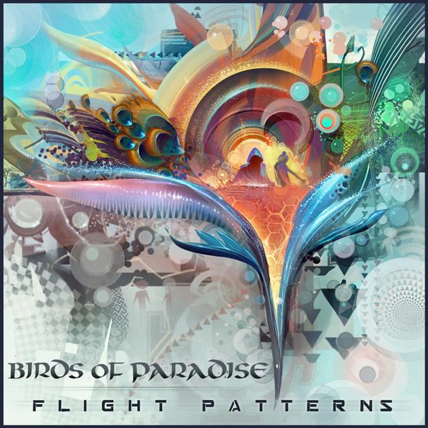 Birds of Paradise