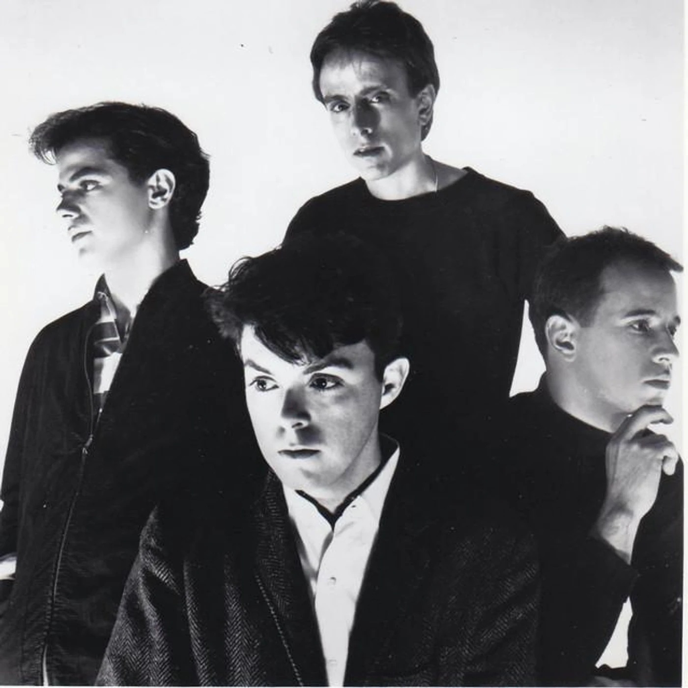 The Bongos Brand Page