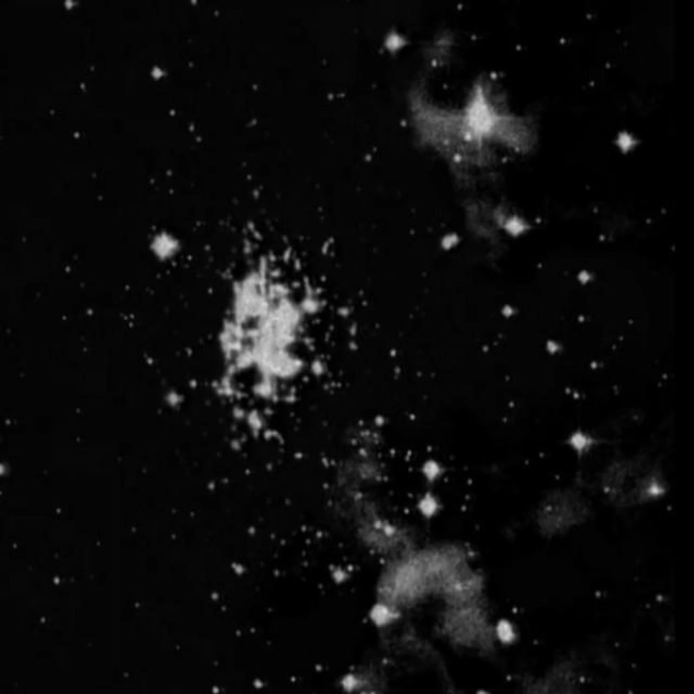 BoofPaxkMooky Archive Brand Page