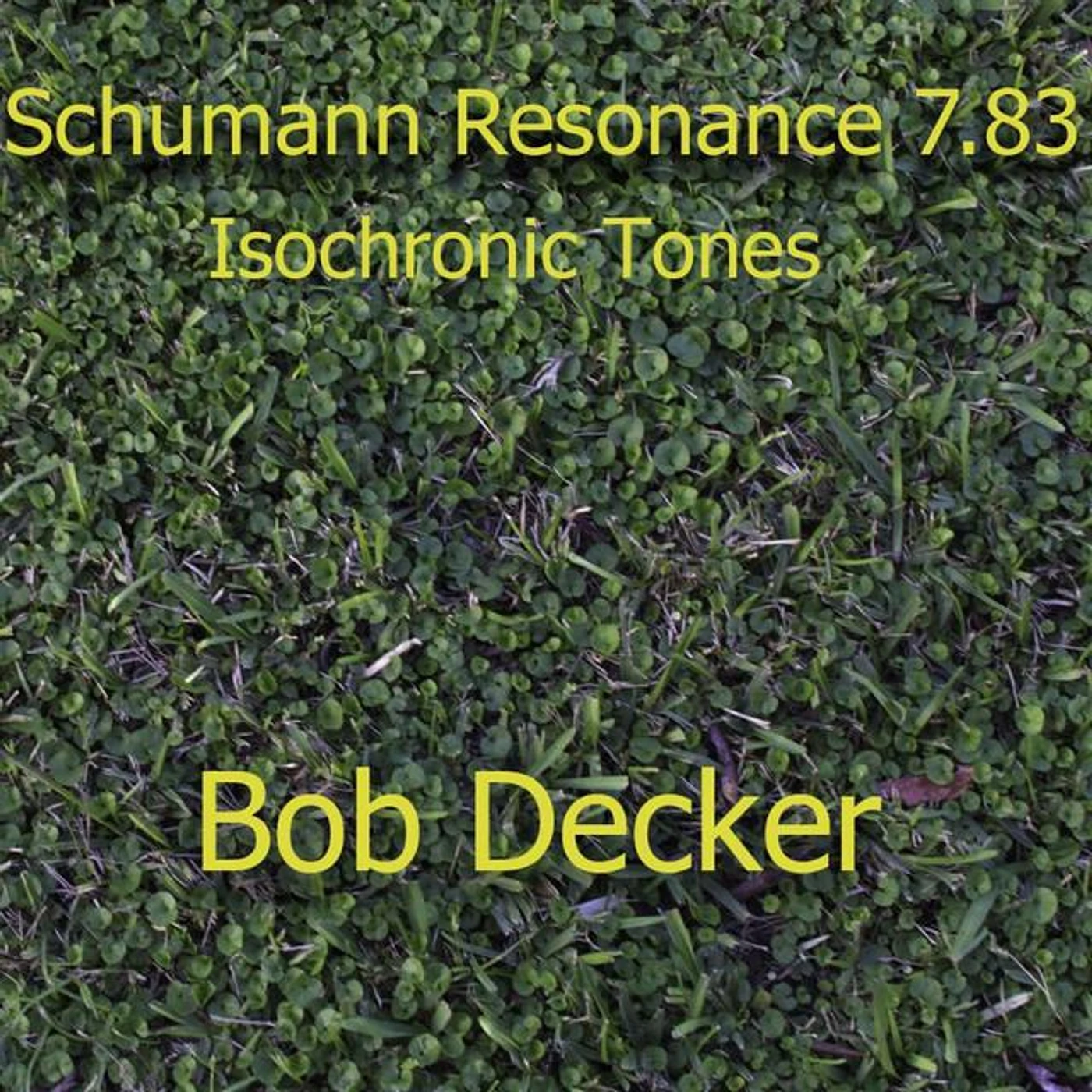 Bob Decker CCHT Brand Page