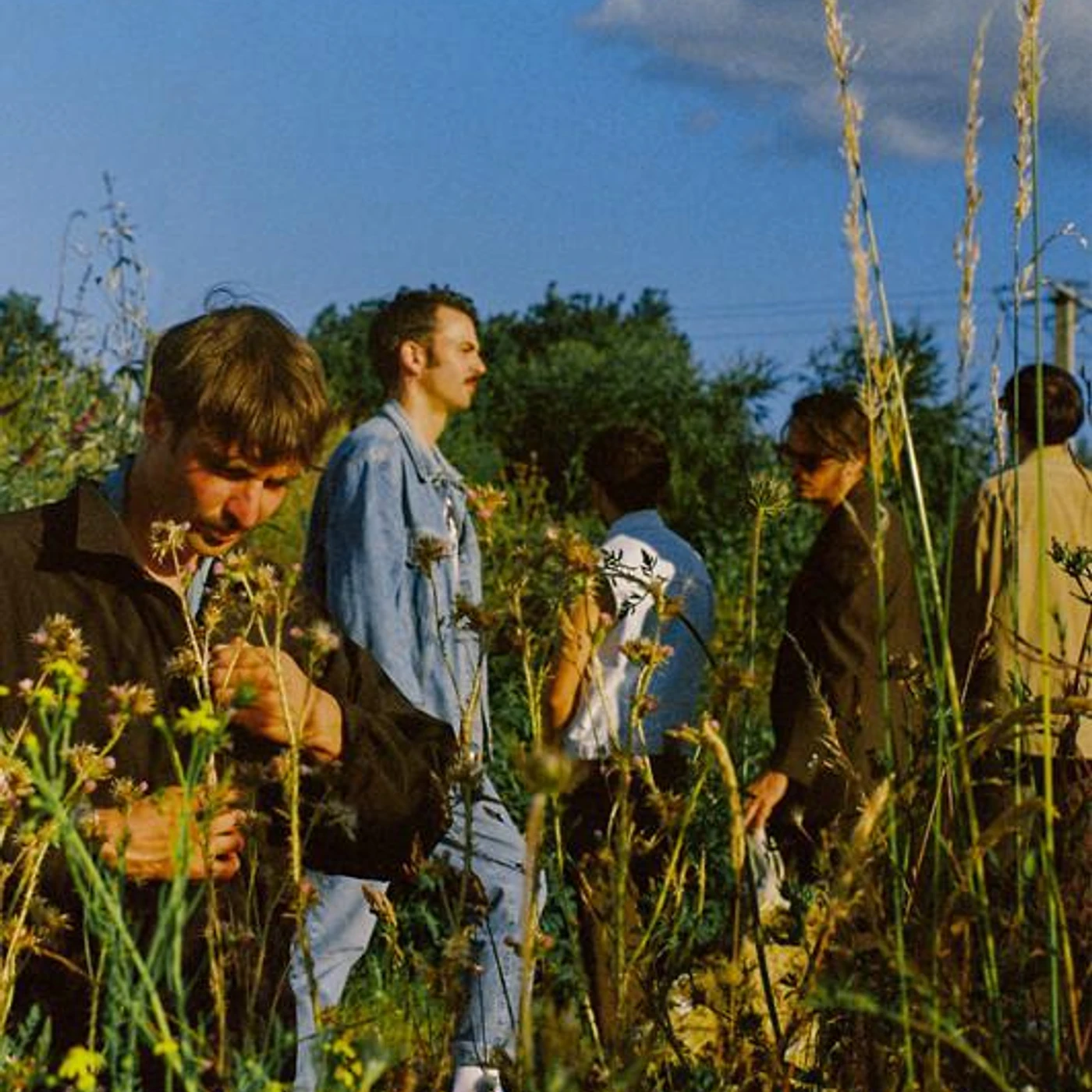 Born Idiot Brand Page