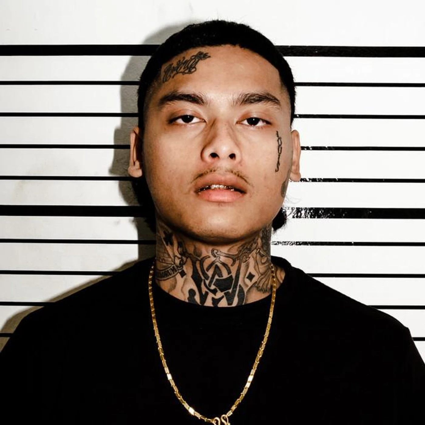BounceBackMeek