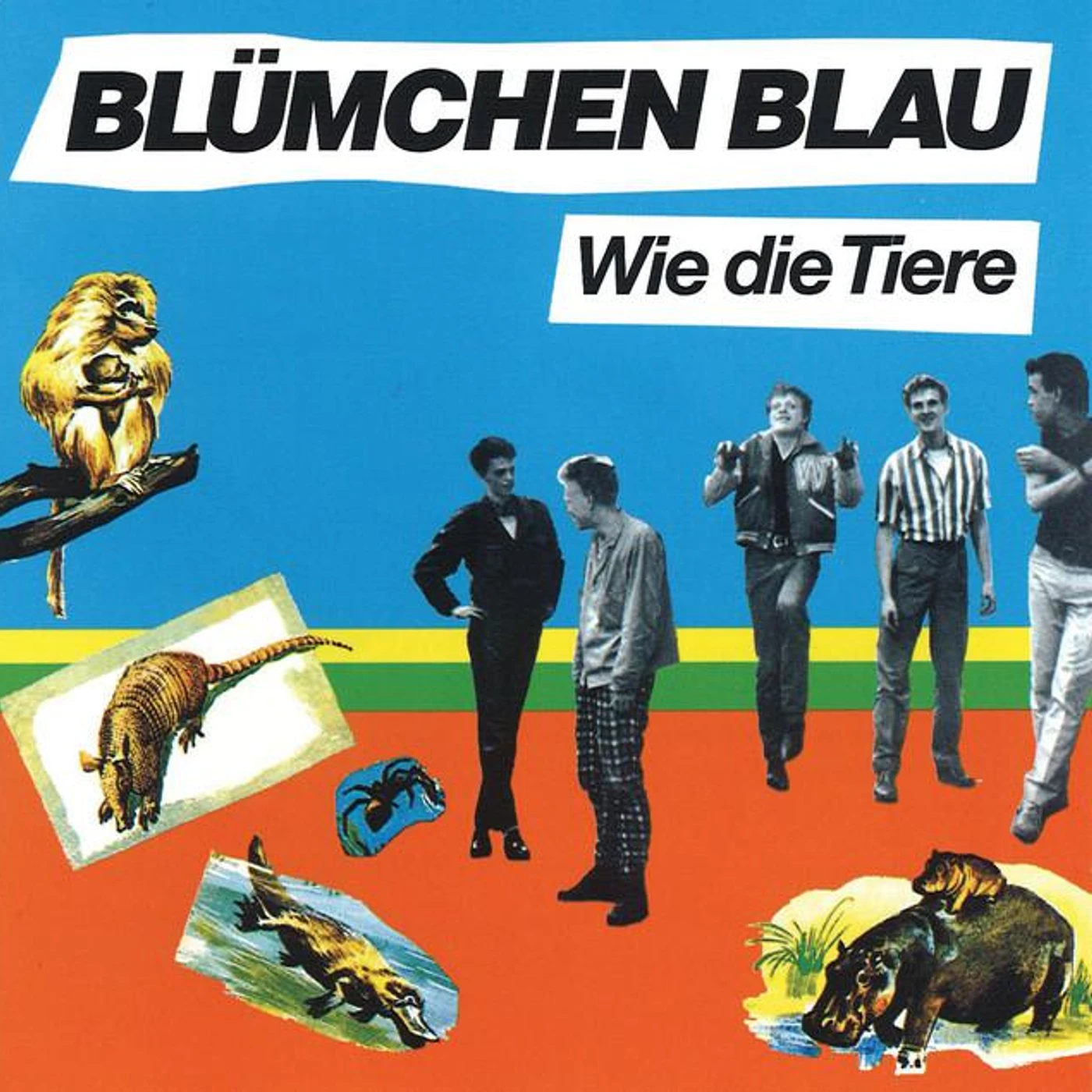 Blümchen Blau Brand Page