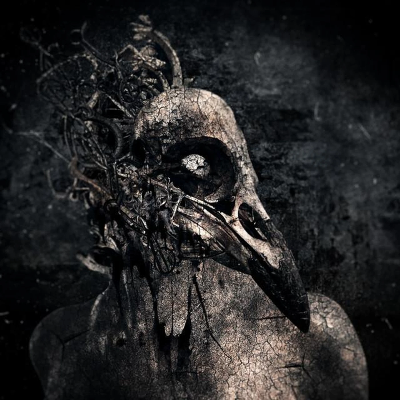 Blatant Disarray Brand Page