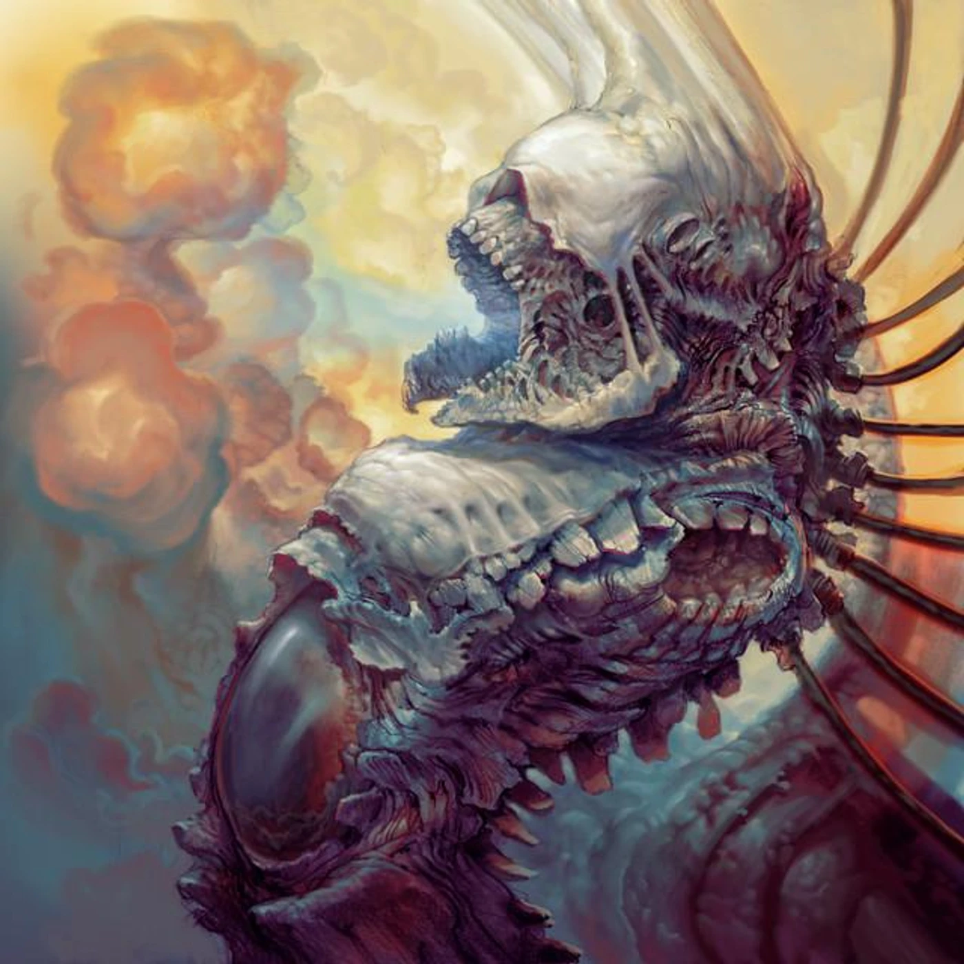 Blackscape Brand Page