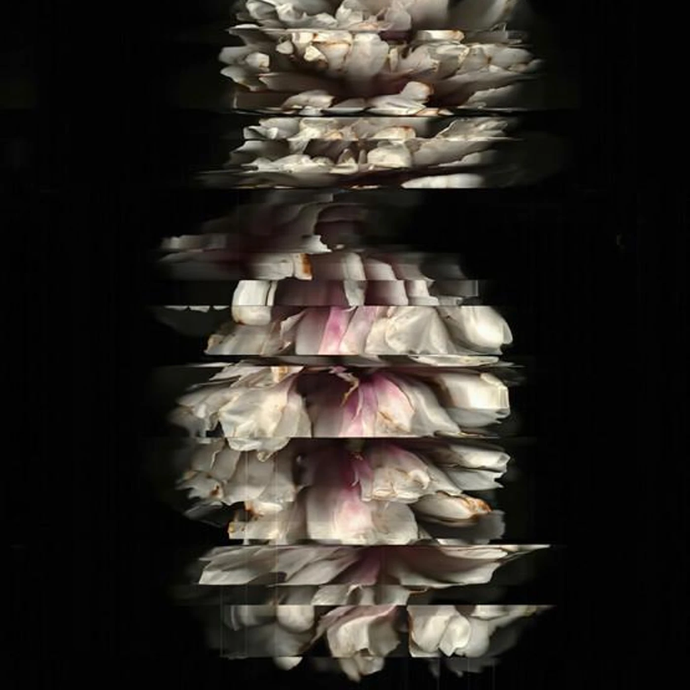 BLACKSHAPE