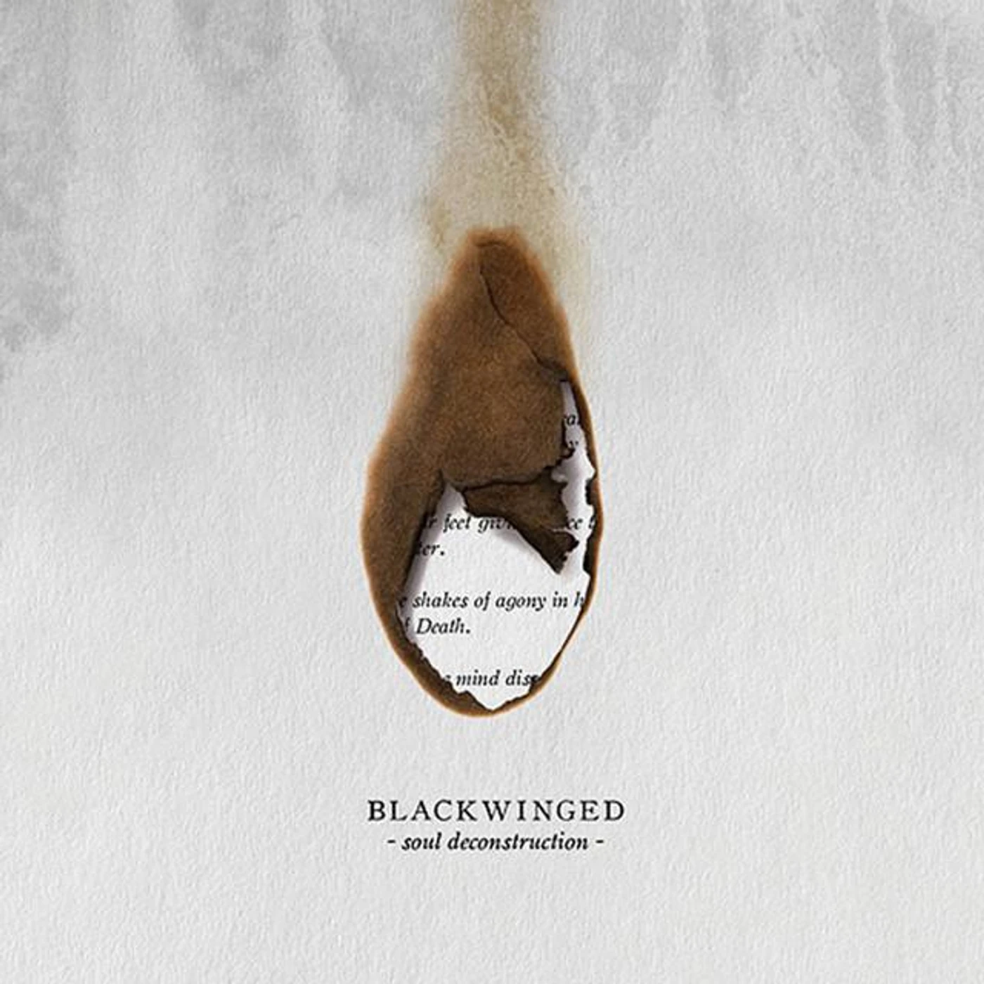 Blackwinged Brand Page