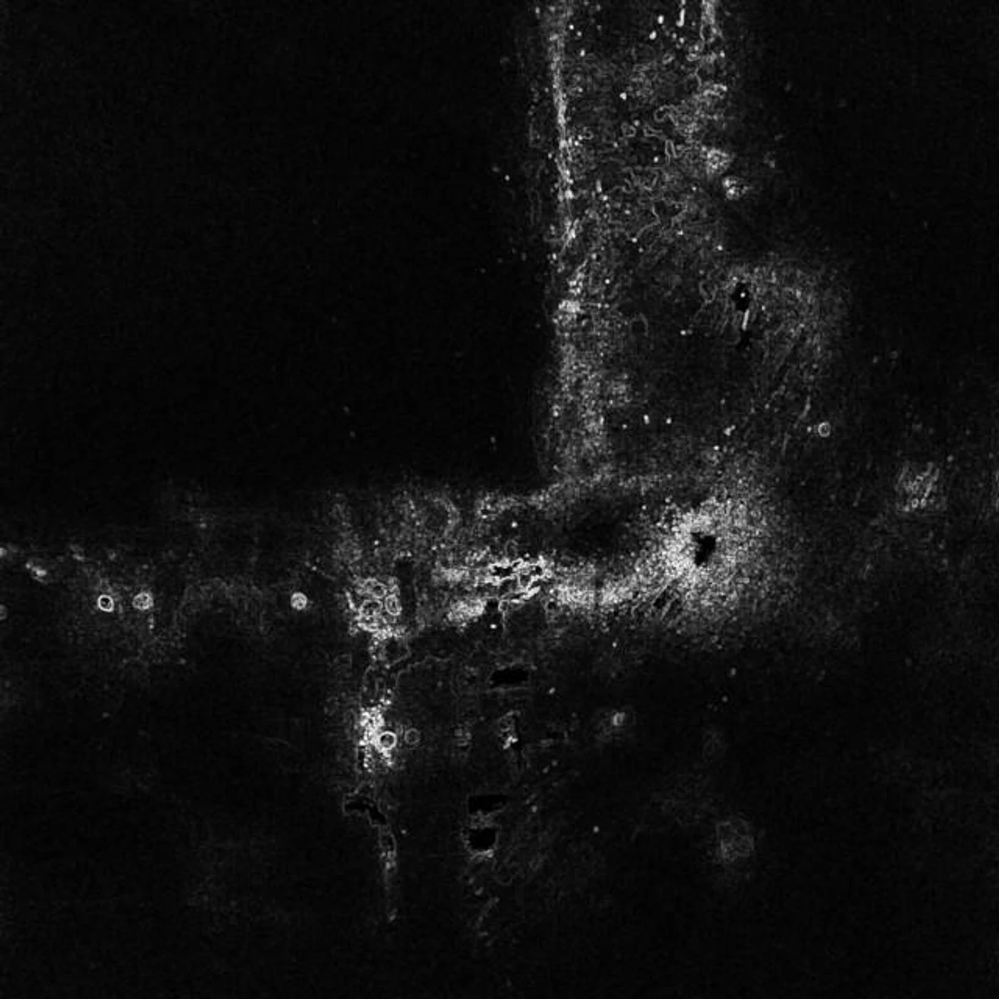 Black Box Memories Brand Page