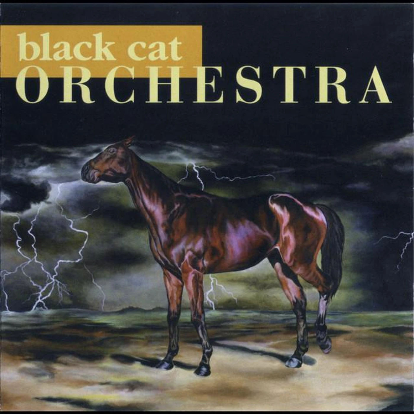 Black Cat Orchestra Brand Page