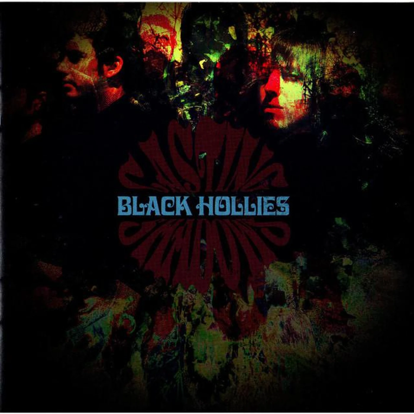 Black Hollies