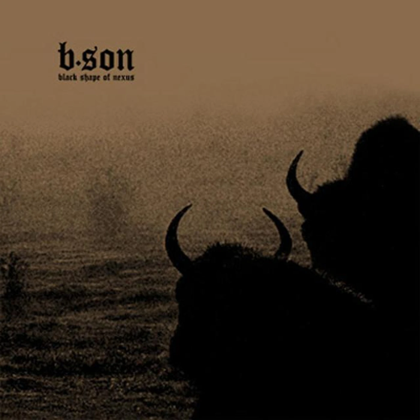 Black Shape Of Nexus Brand Page