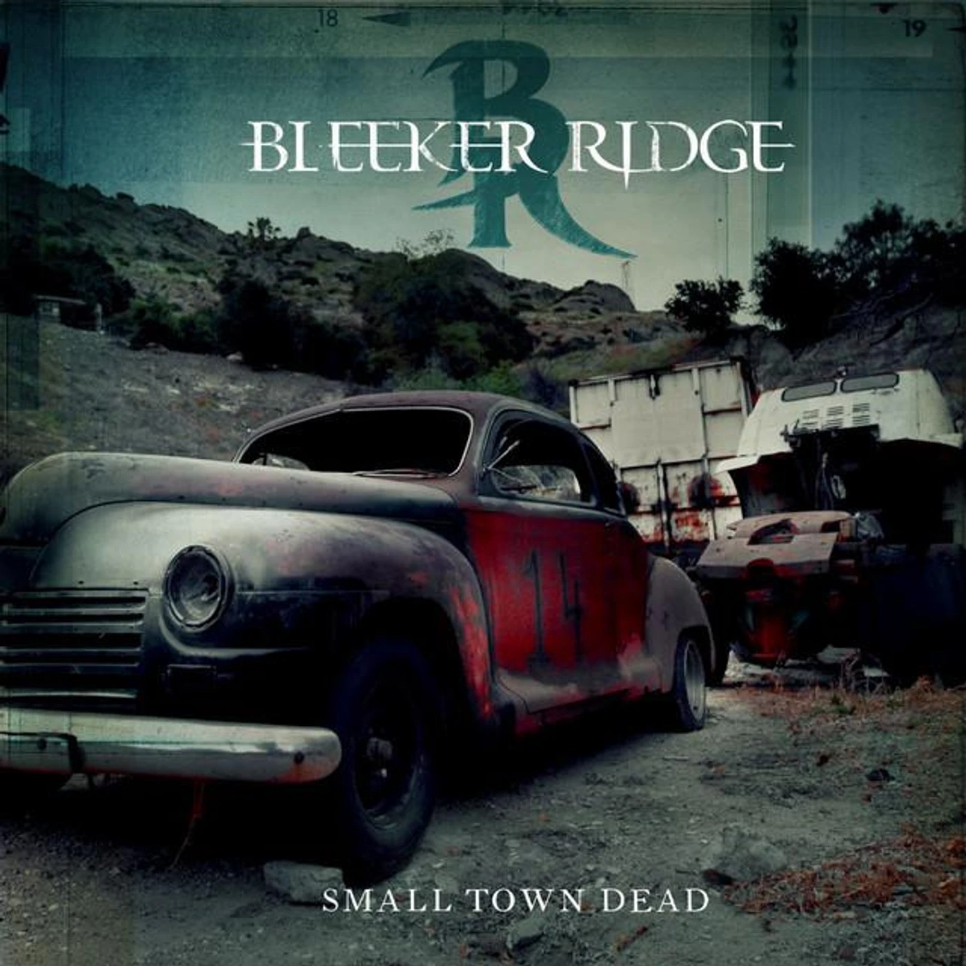 Bleeker Ridge Brand Page