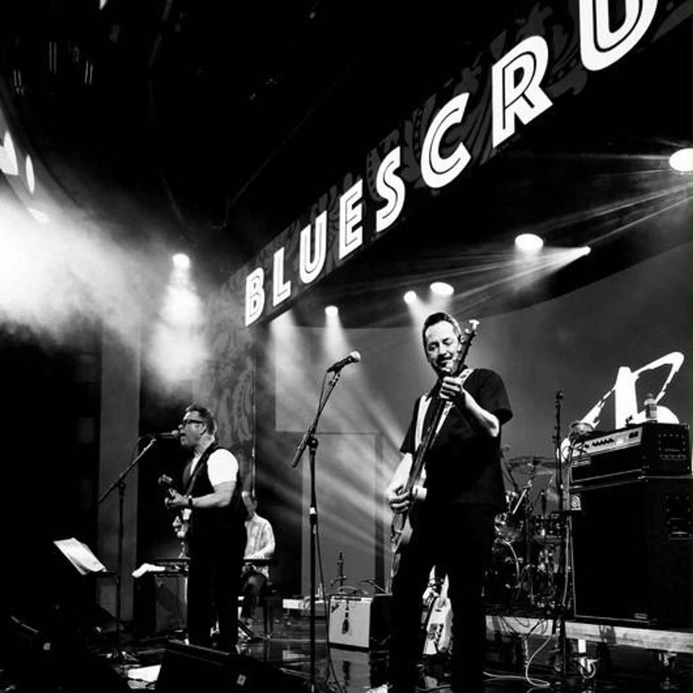 Bluebirds Brand Page