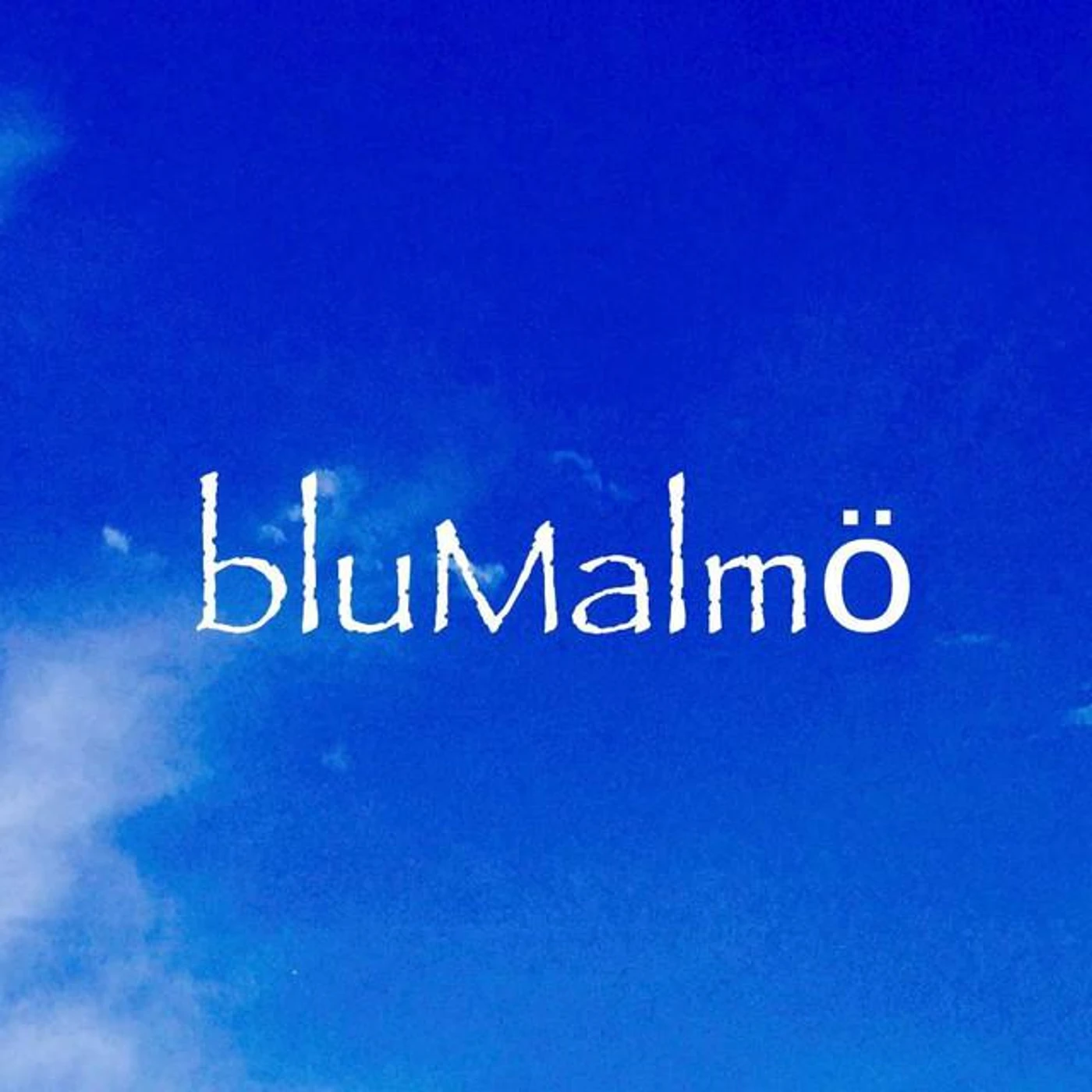 bluMalmö Brand Page