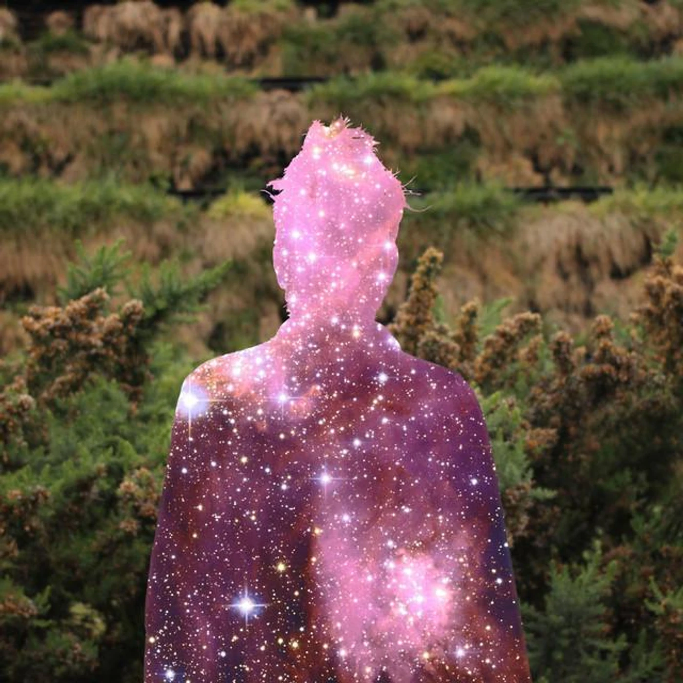 Brother Nebula Brand Page