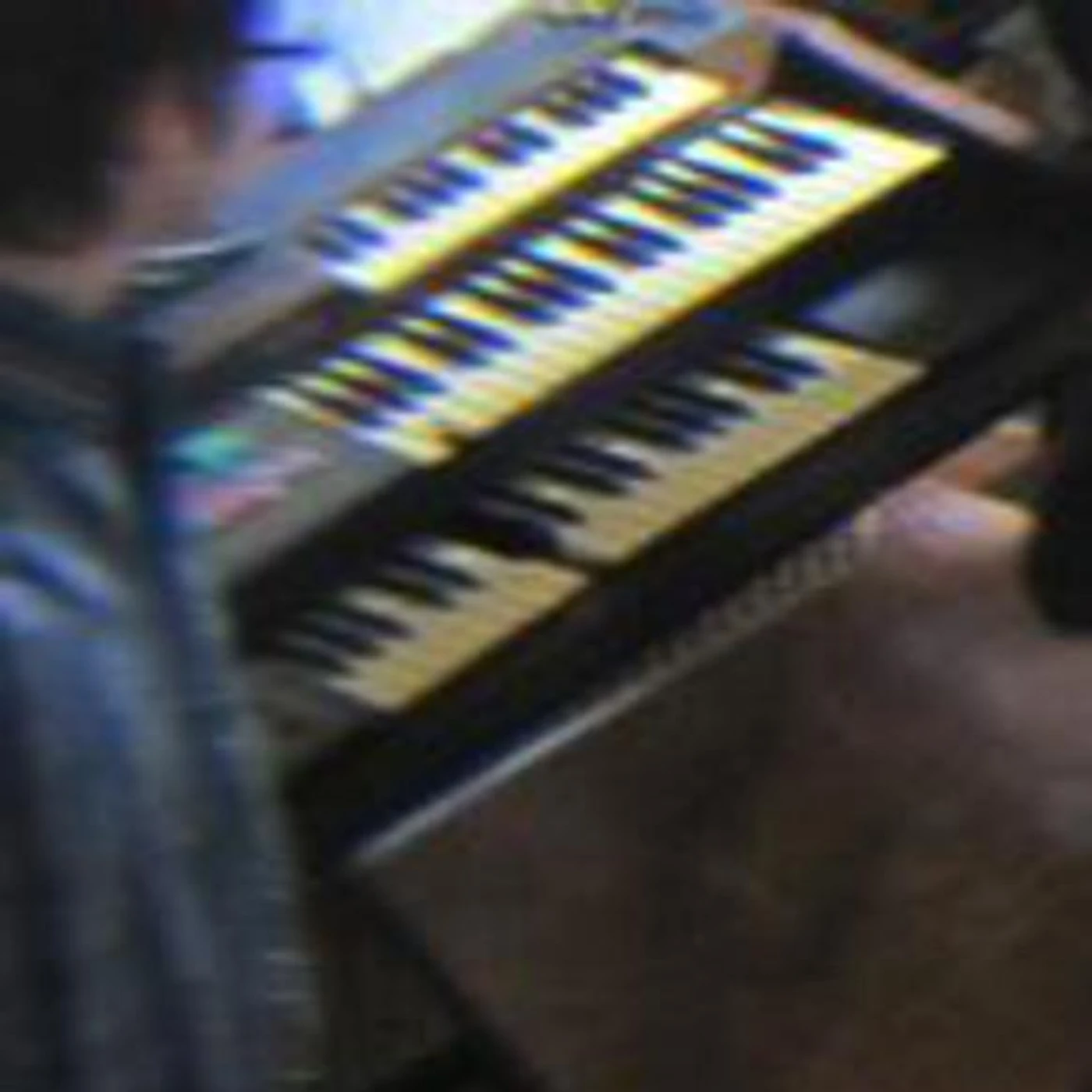 Brown Recluse Brand Page