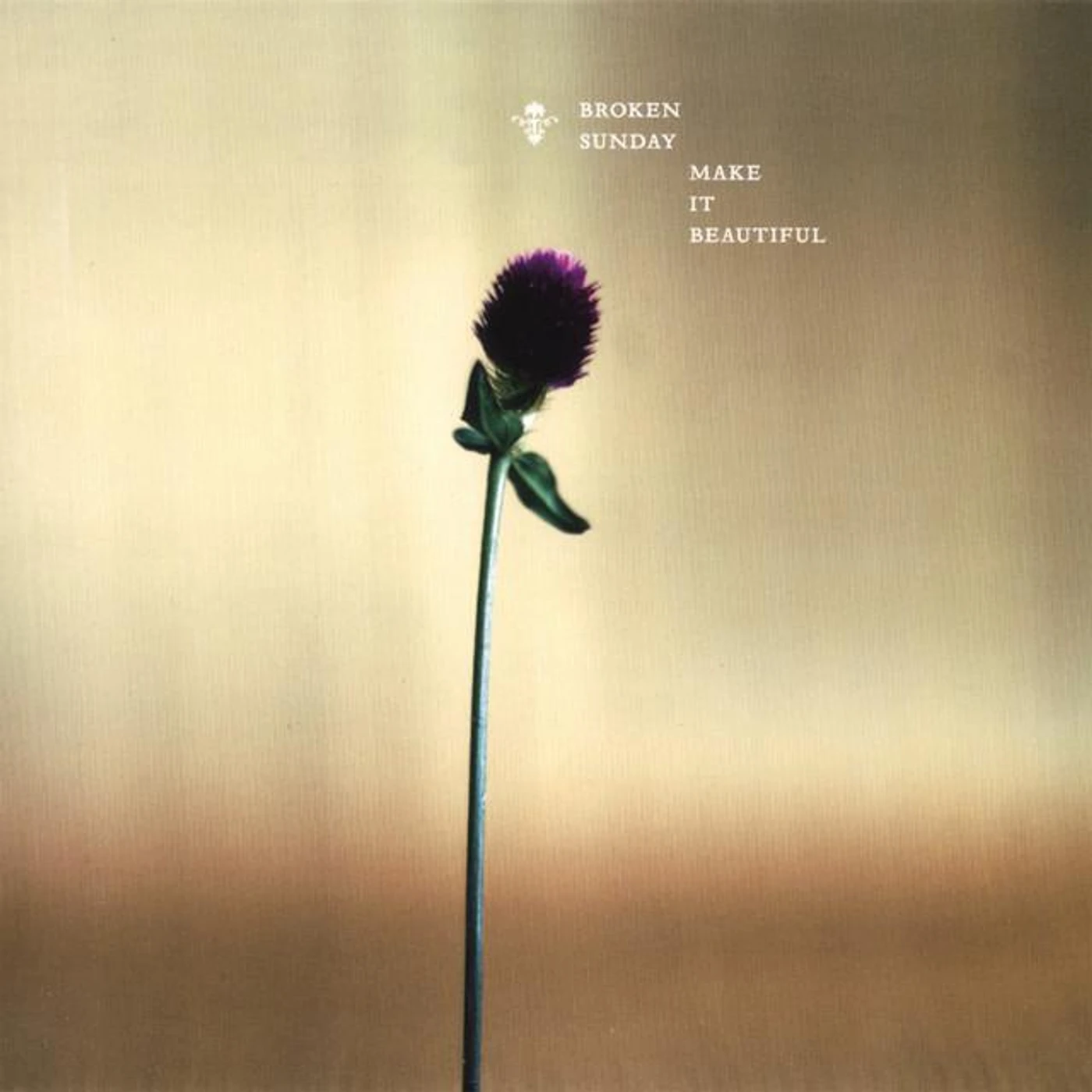 Broken Sunday Brand Page