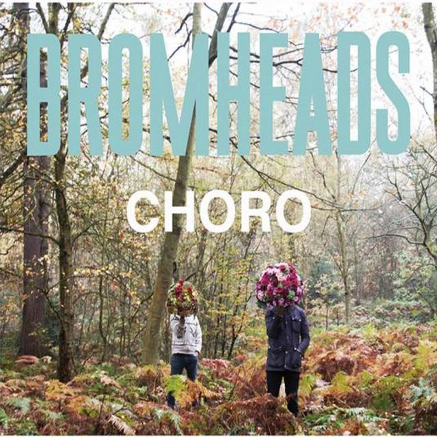Bromheads