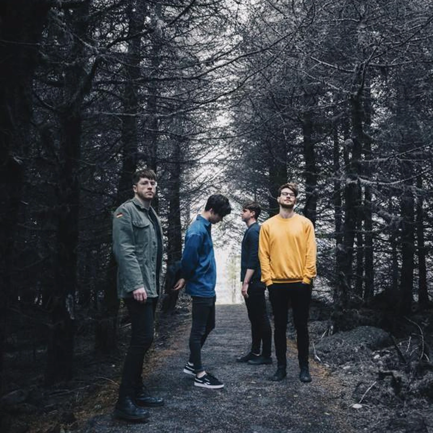 Brave Giant Brand Page