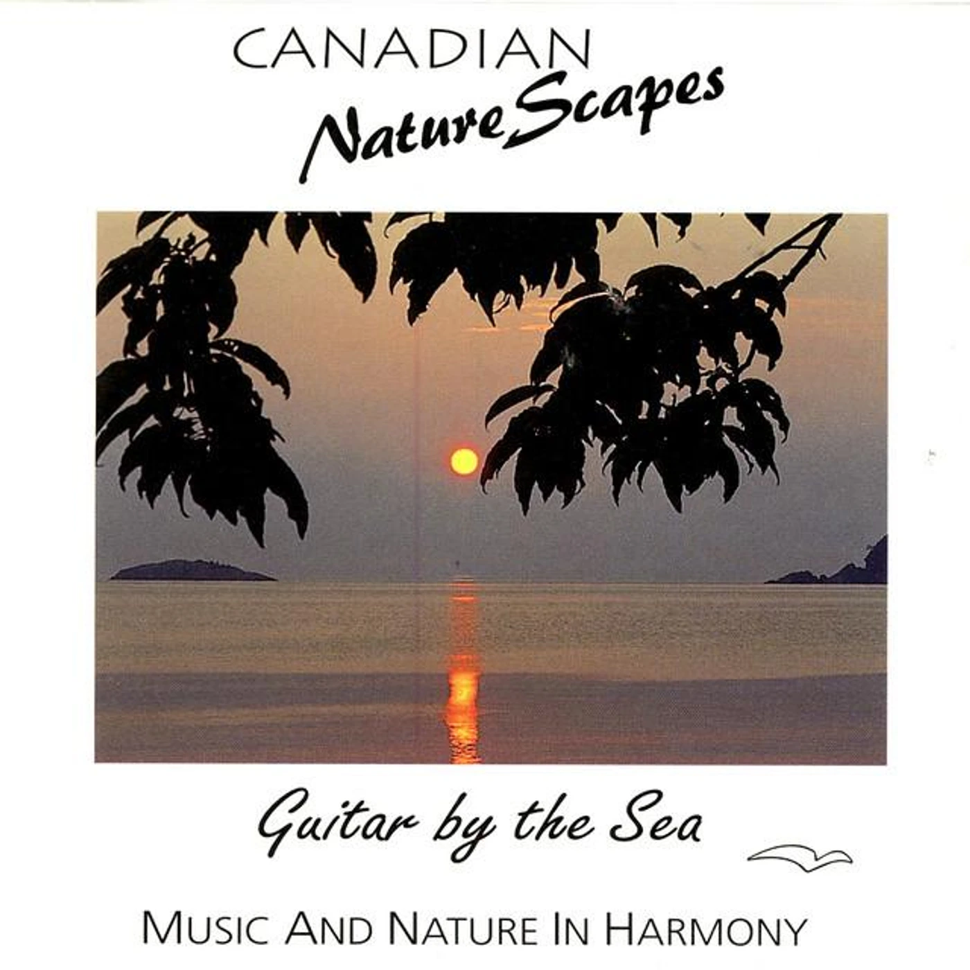 Brad Prevedoros Brand Page