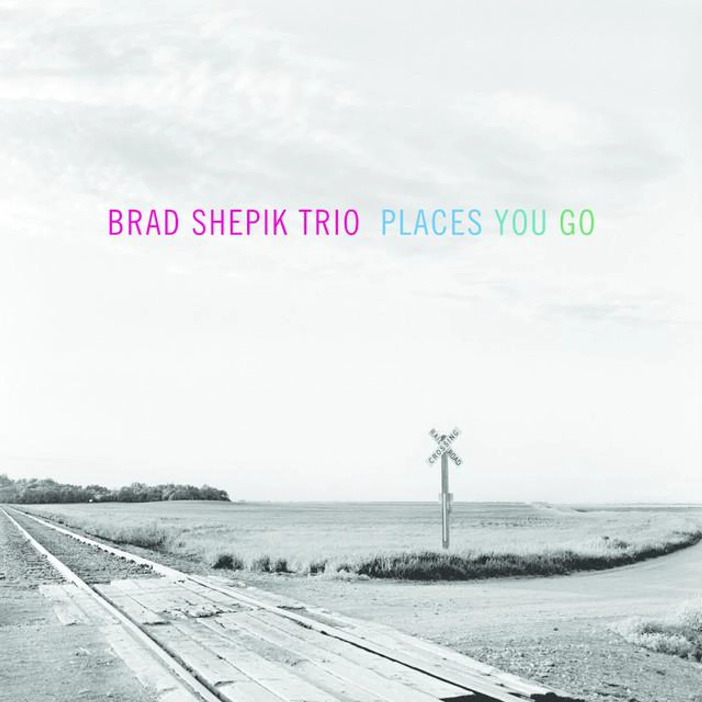 Brad Shepik Trio Brand Page