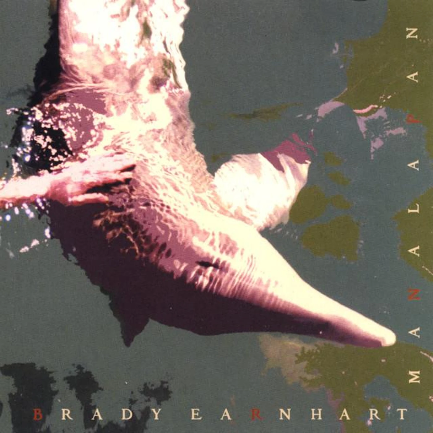 Brady Earnhart