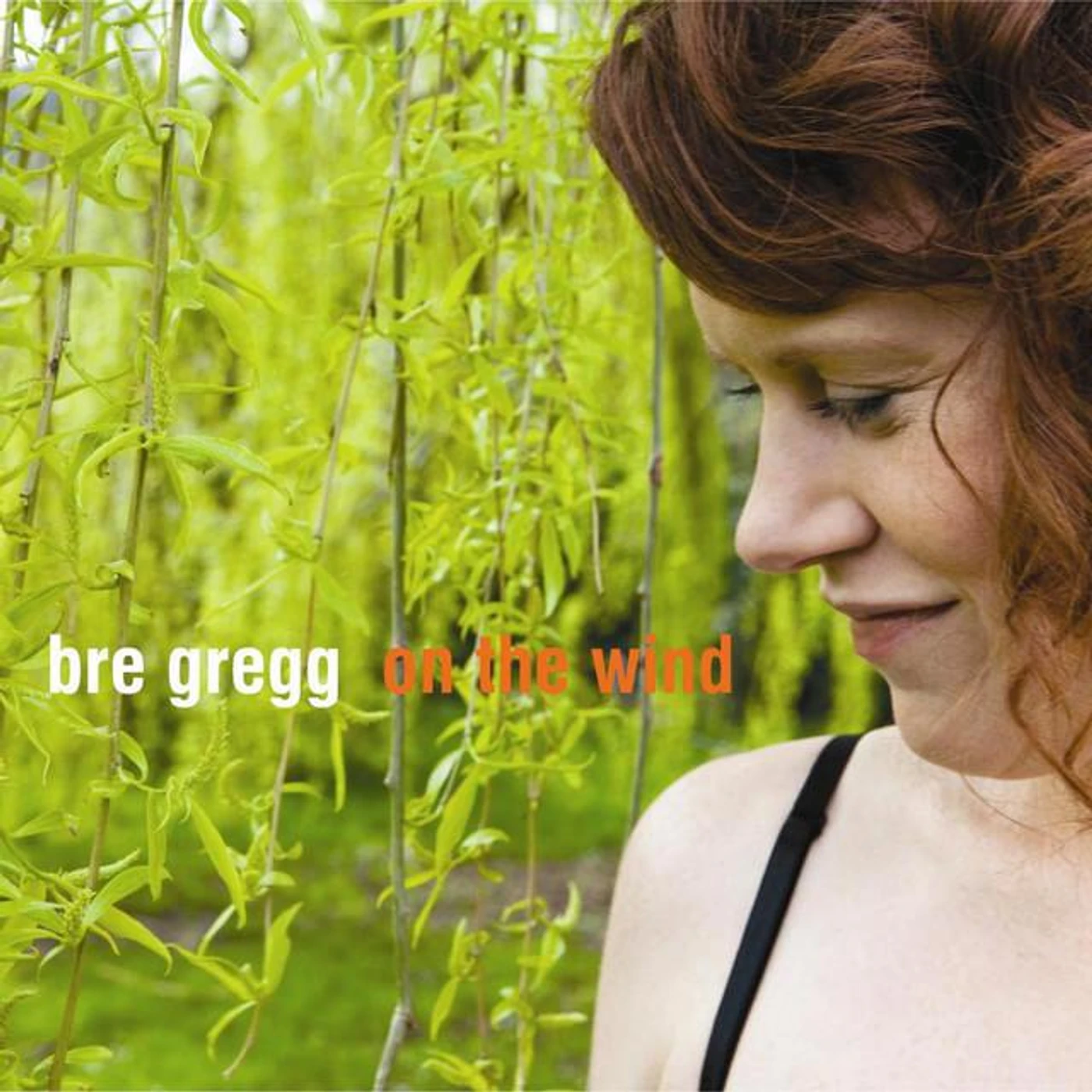 Bre Gregg Brand Page