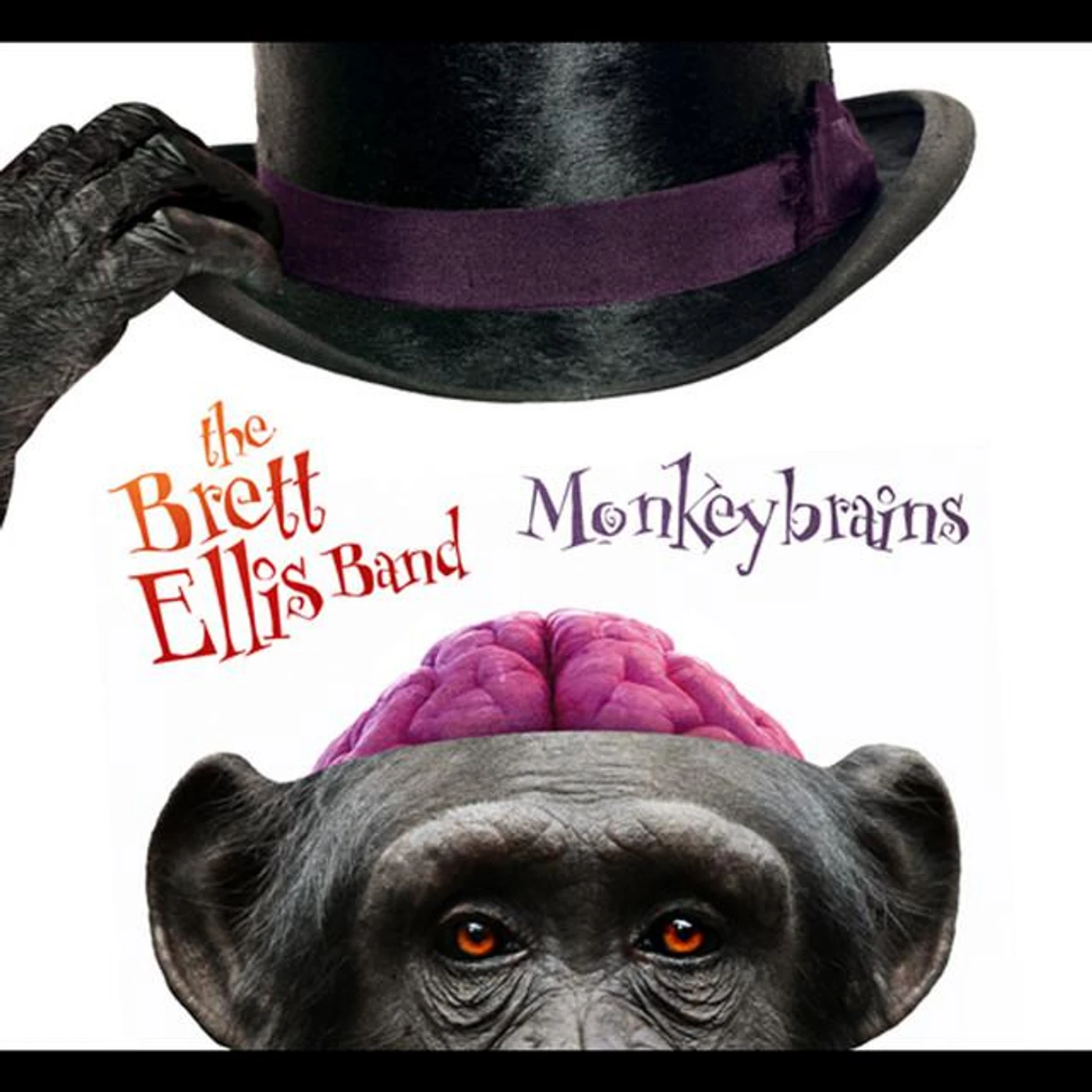 Brett Ellis Band Brand Page