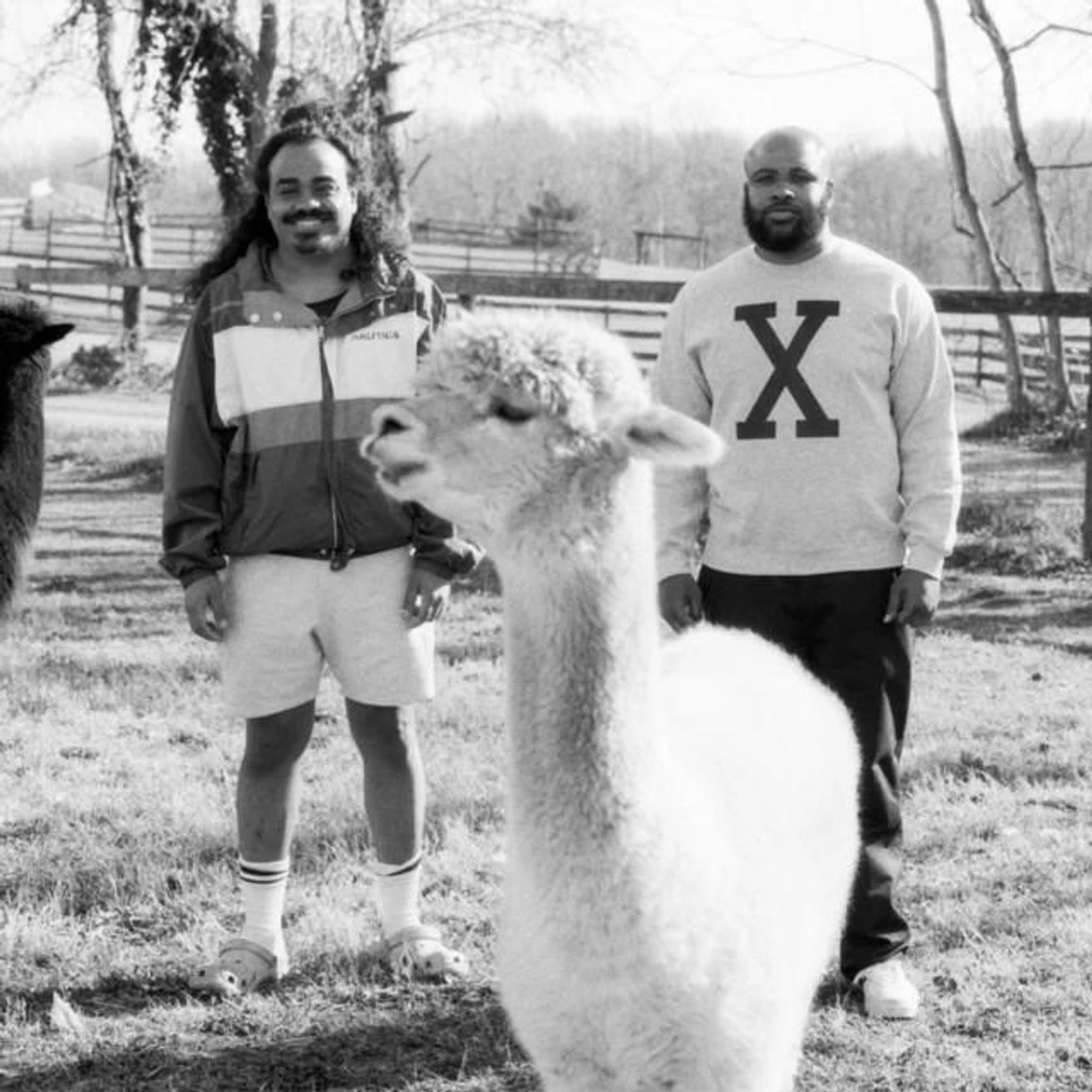 Brian Ennals Brand Page