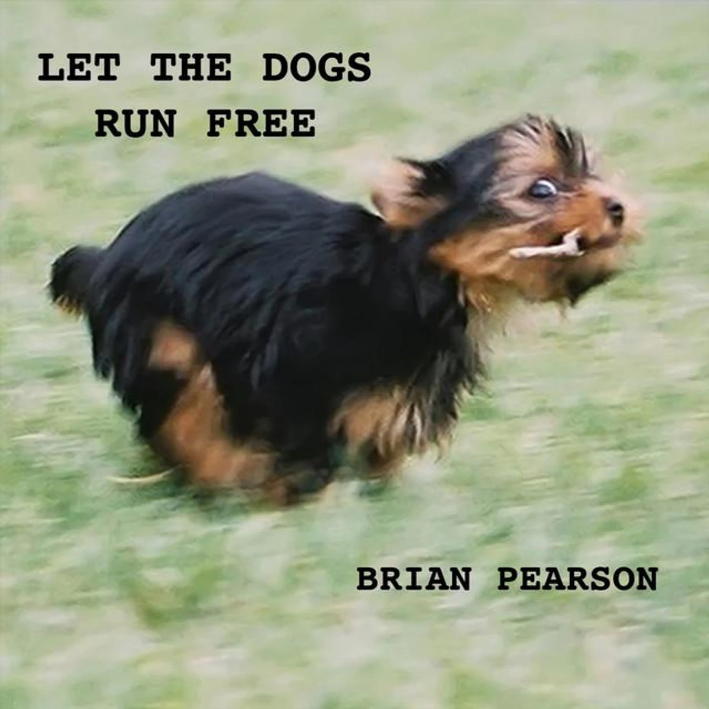 Brian Pearson Brand Page