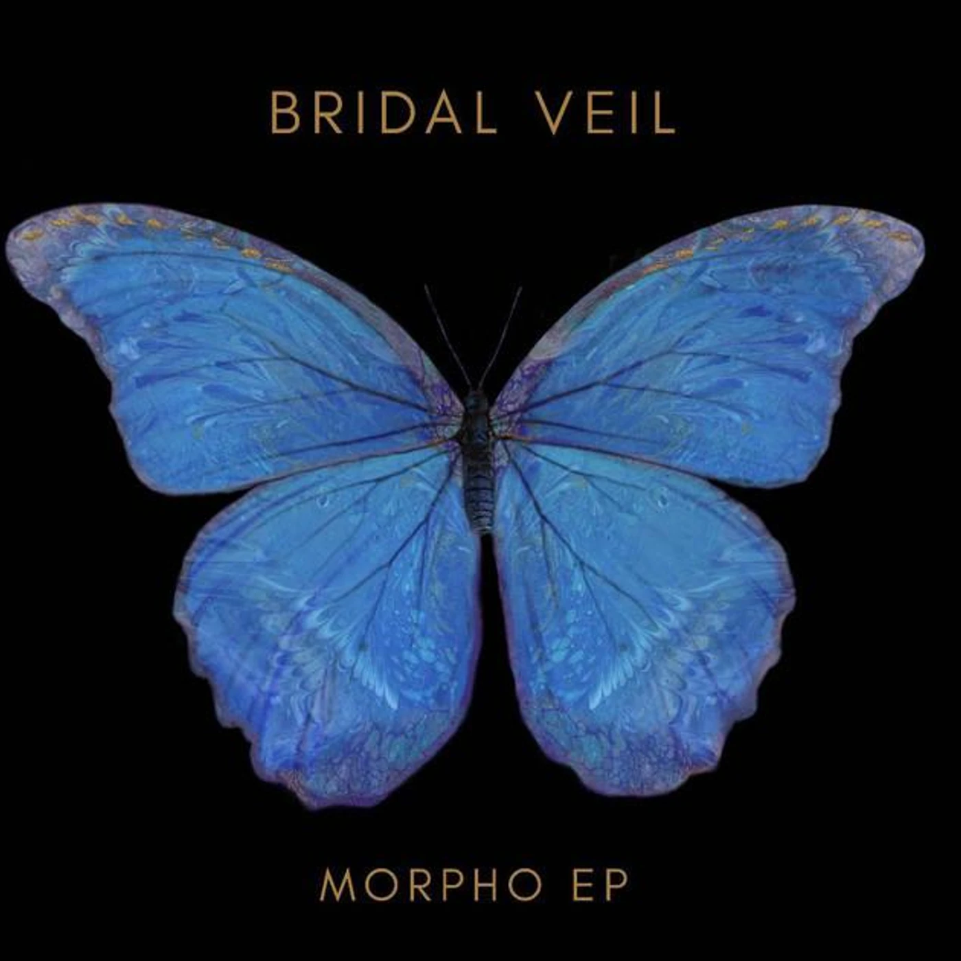 Bridal Veil