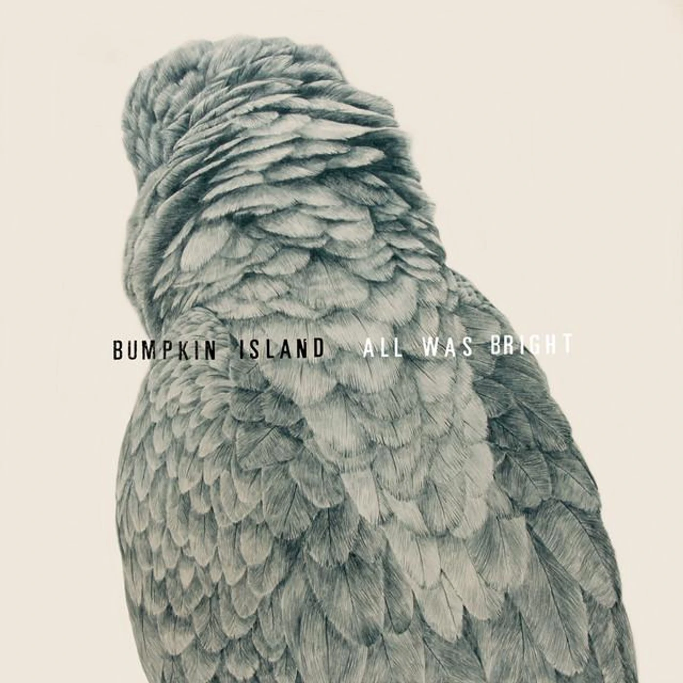 Bumpkin Island Brand Page