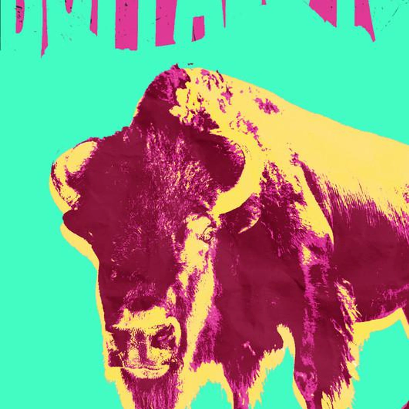 Buffalo Tombs Brand Page