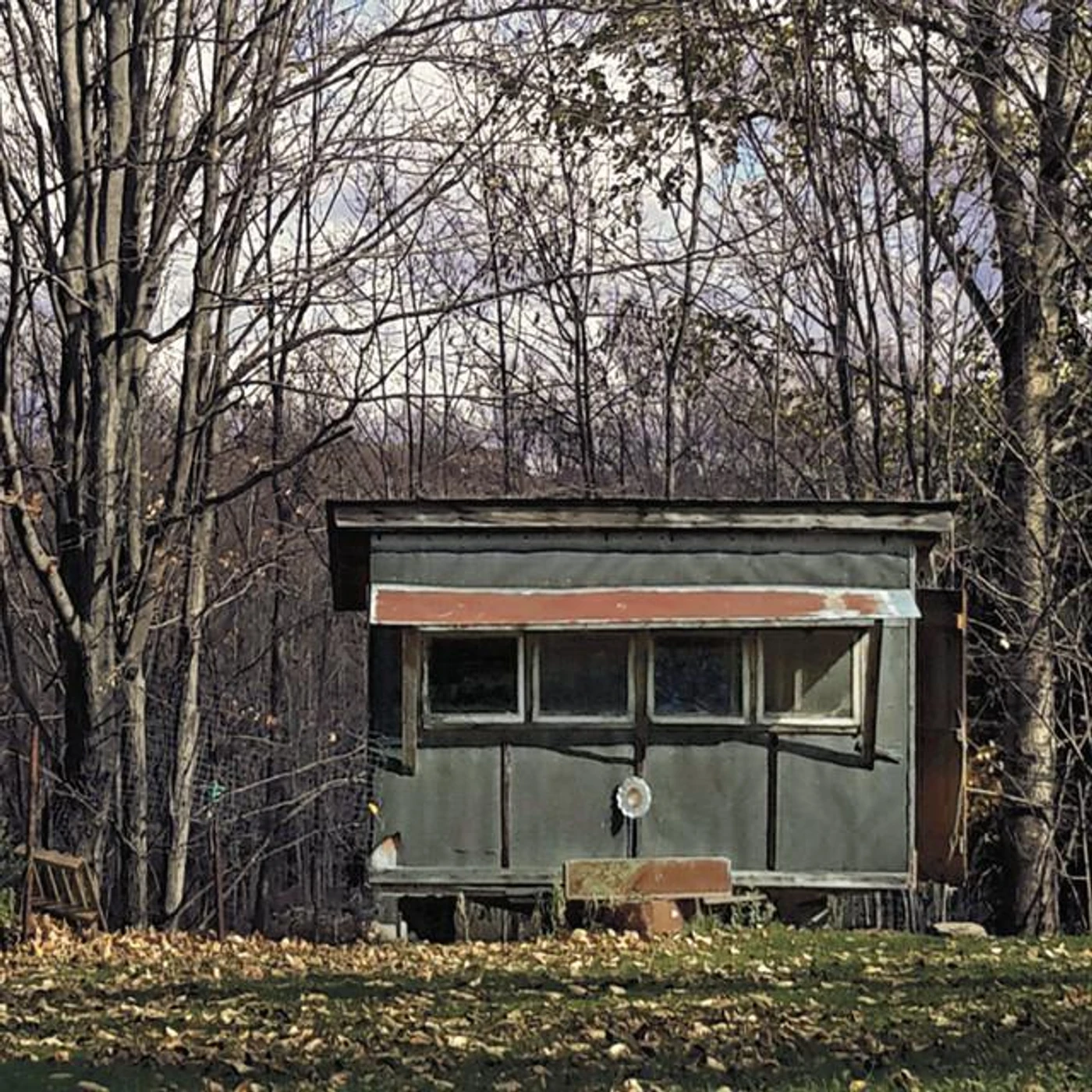 Bug Tussle Brand Page