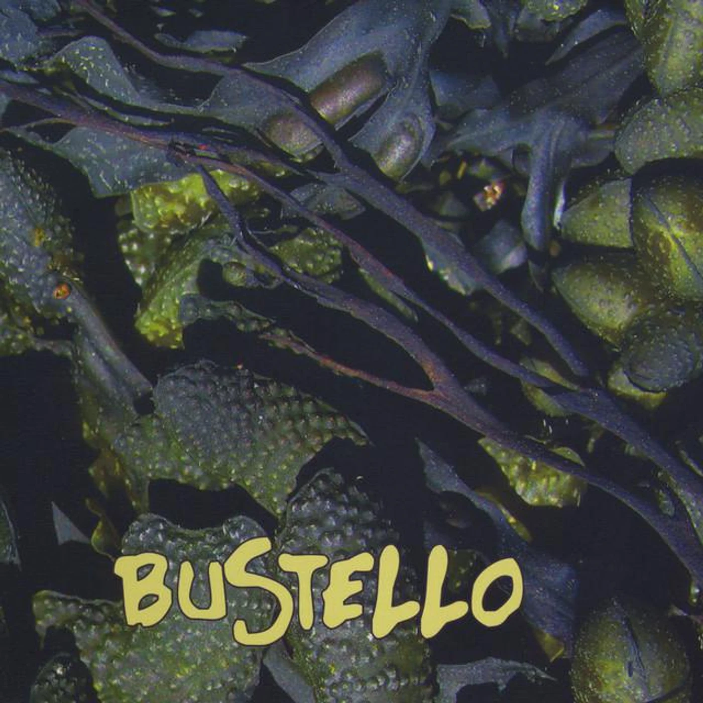 Bustello Brand Page