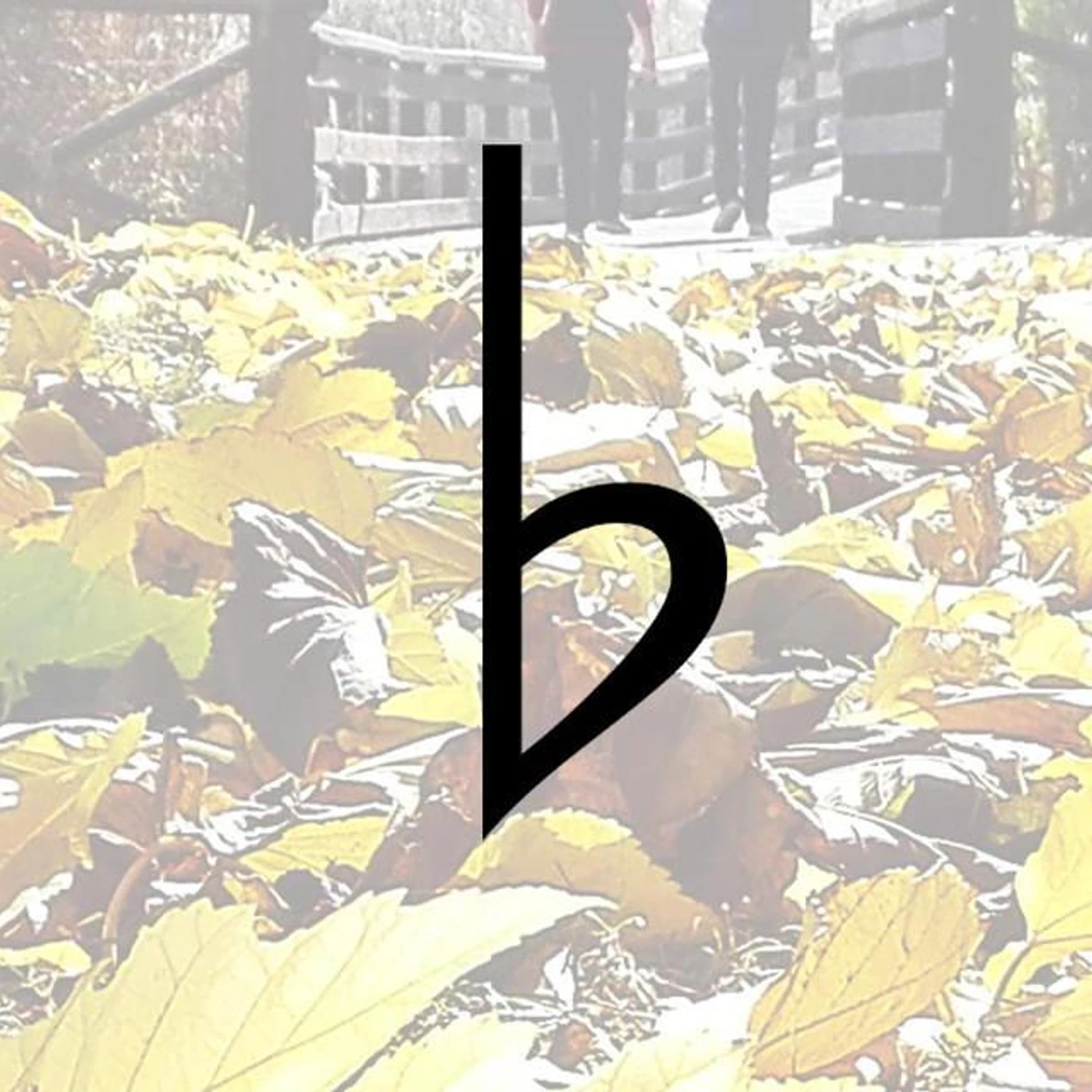 bzur Brand Page