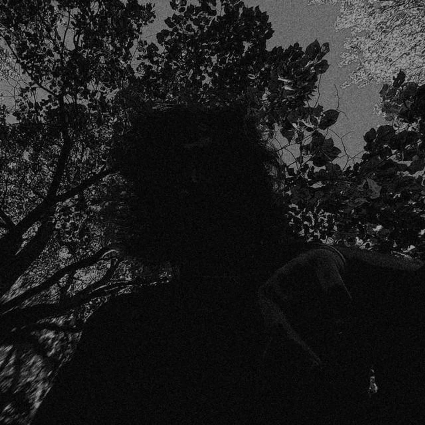 Cameron Morse Brand Page