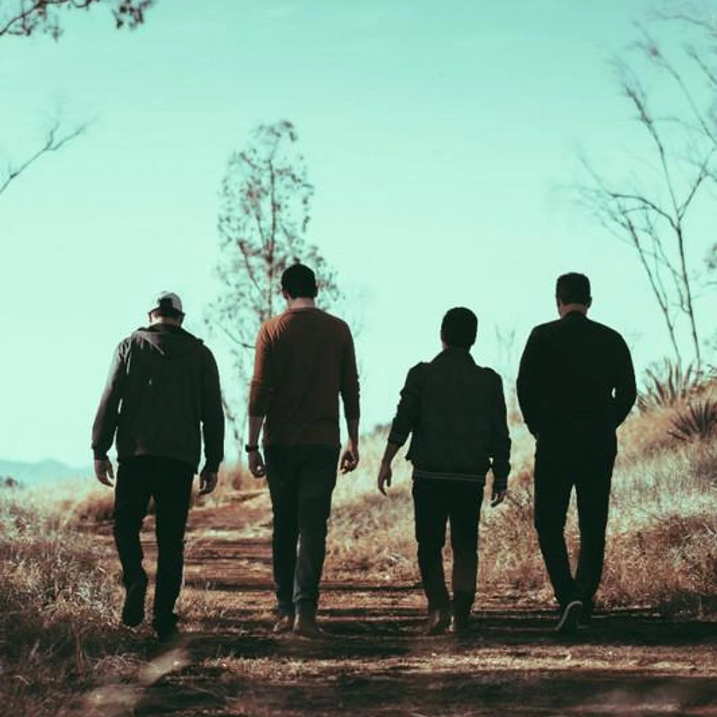 CantoVerbo Brand Page