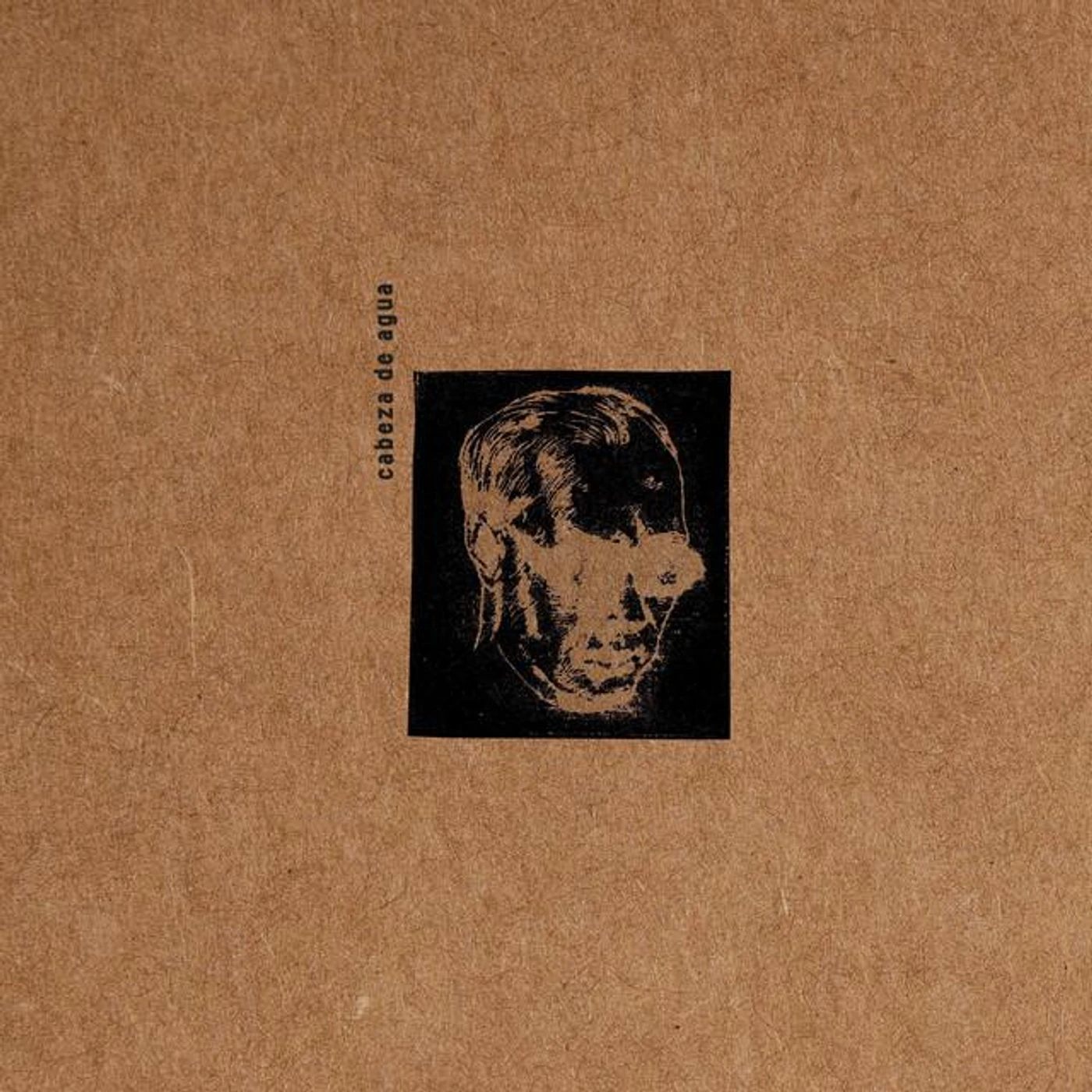 Cabeza de Agua Brand Page