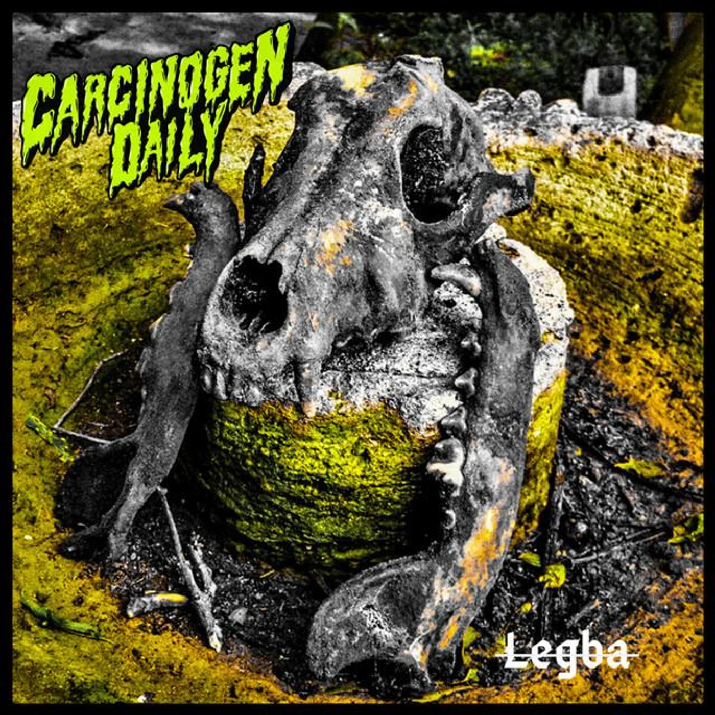 Carcinogen Daily