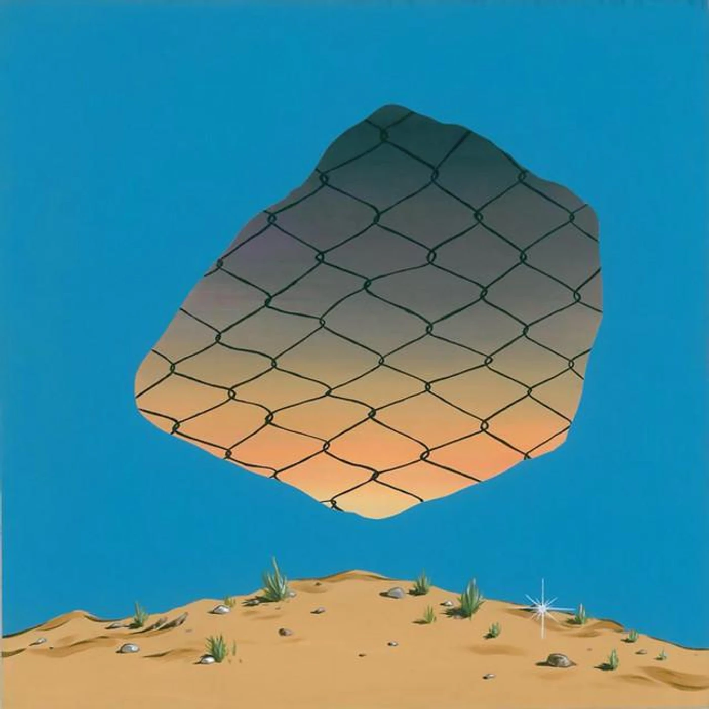 Carl Sagan's Skate Shoes