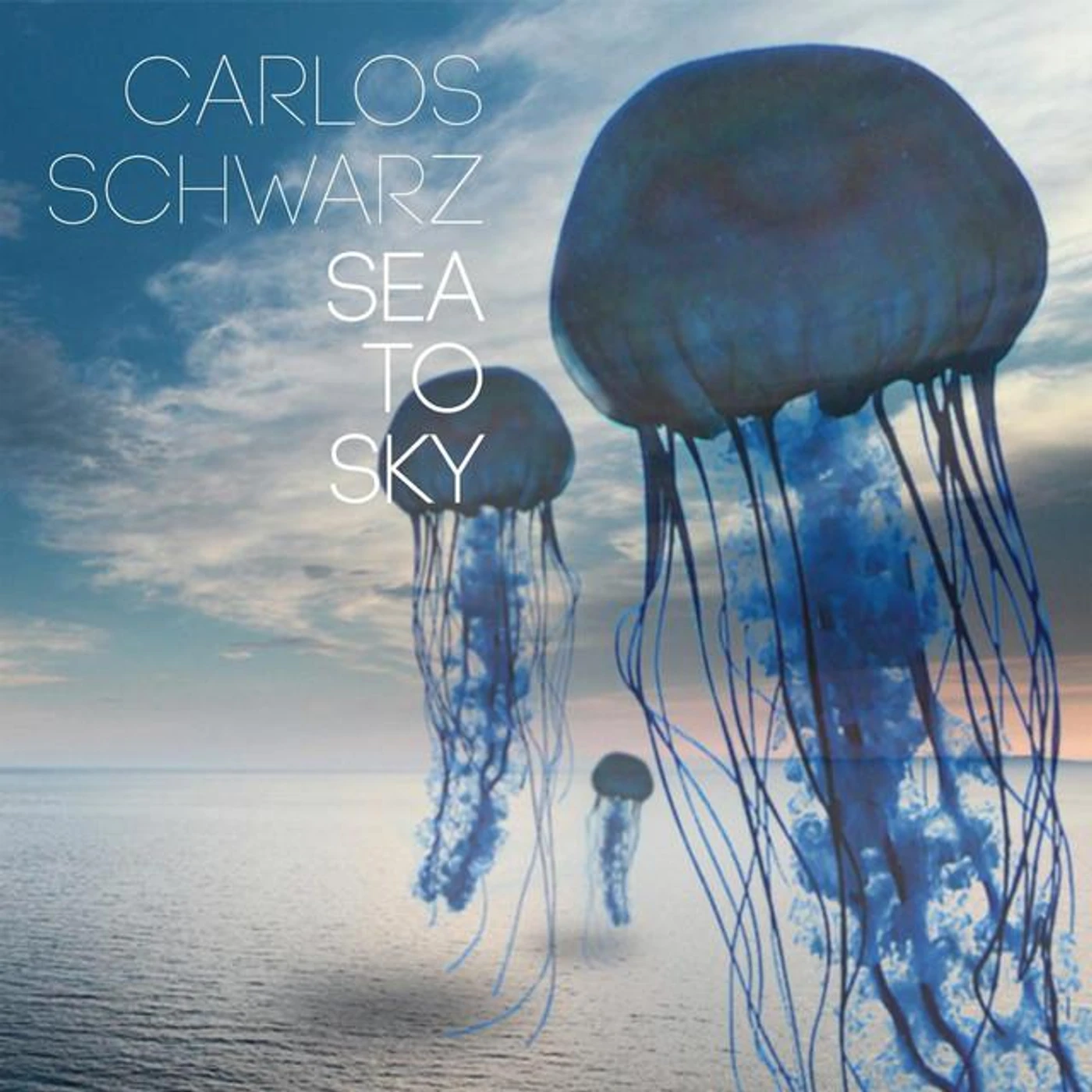 Carlos Schwarz Brand Page