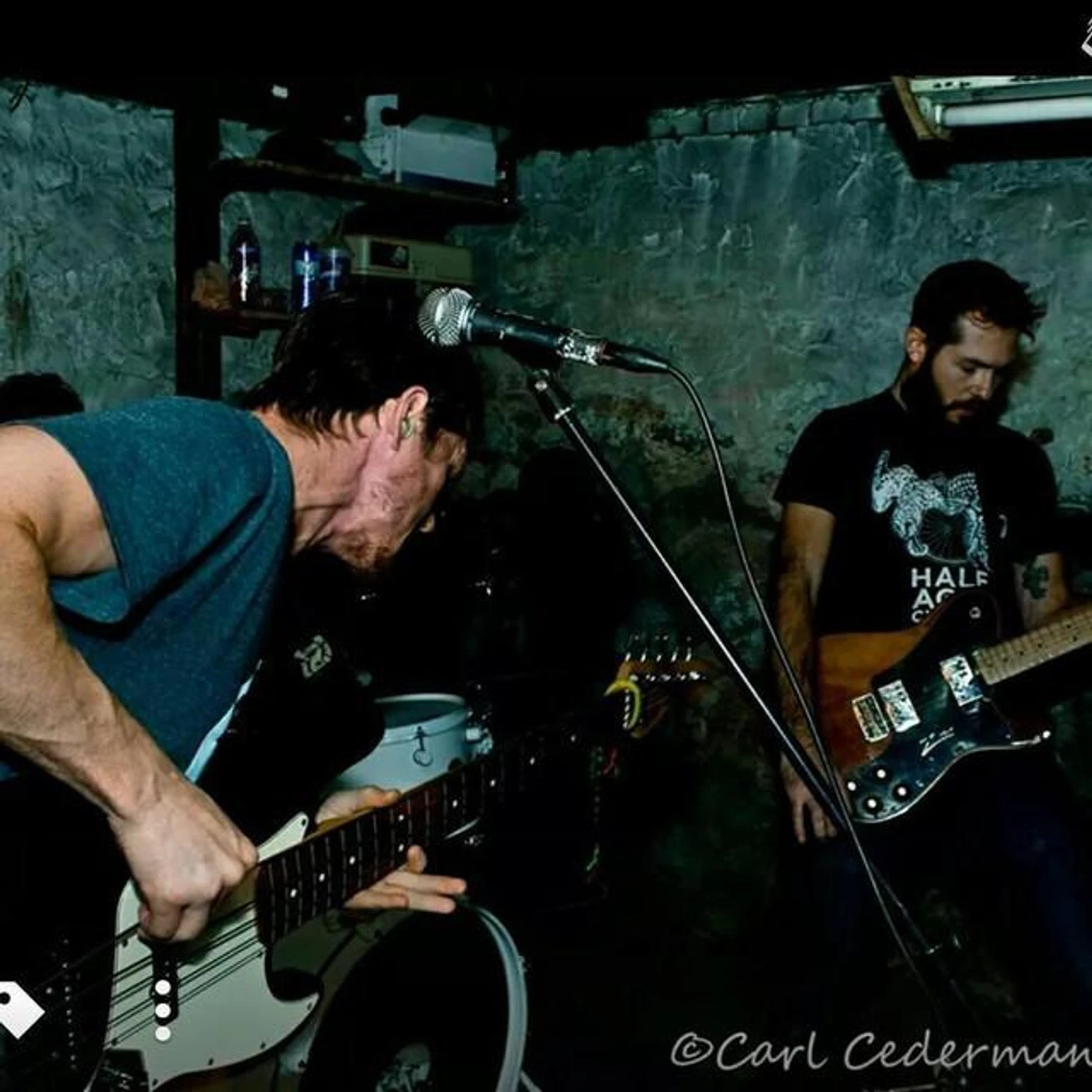 Carnivores at Grace