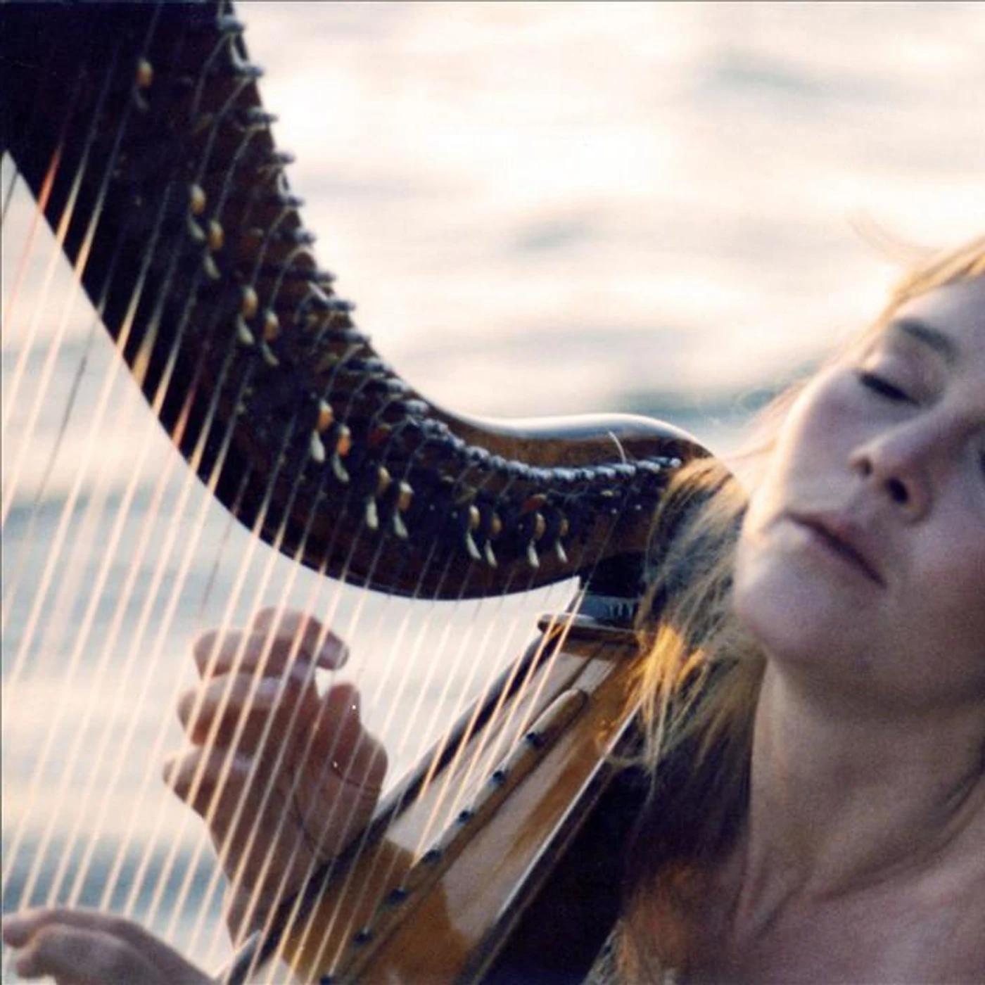 Carol Kleyn Brand Page
