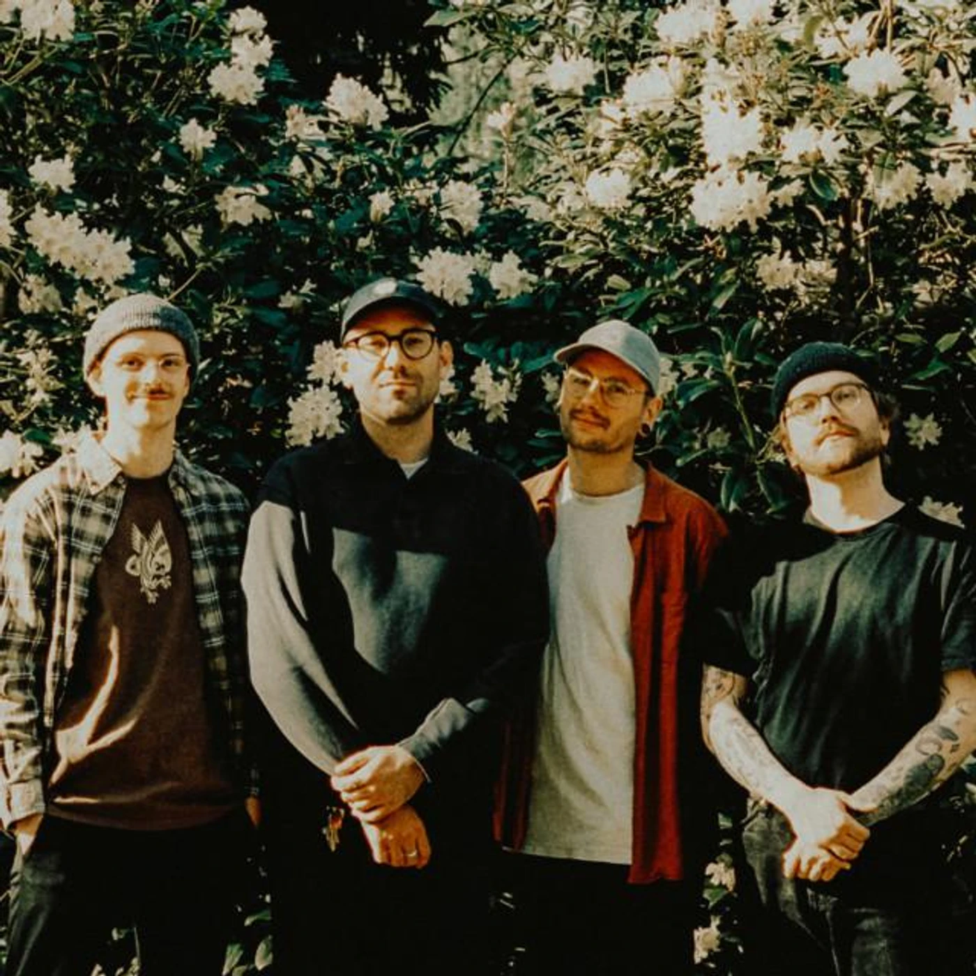 Catapults Brand Page