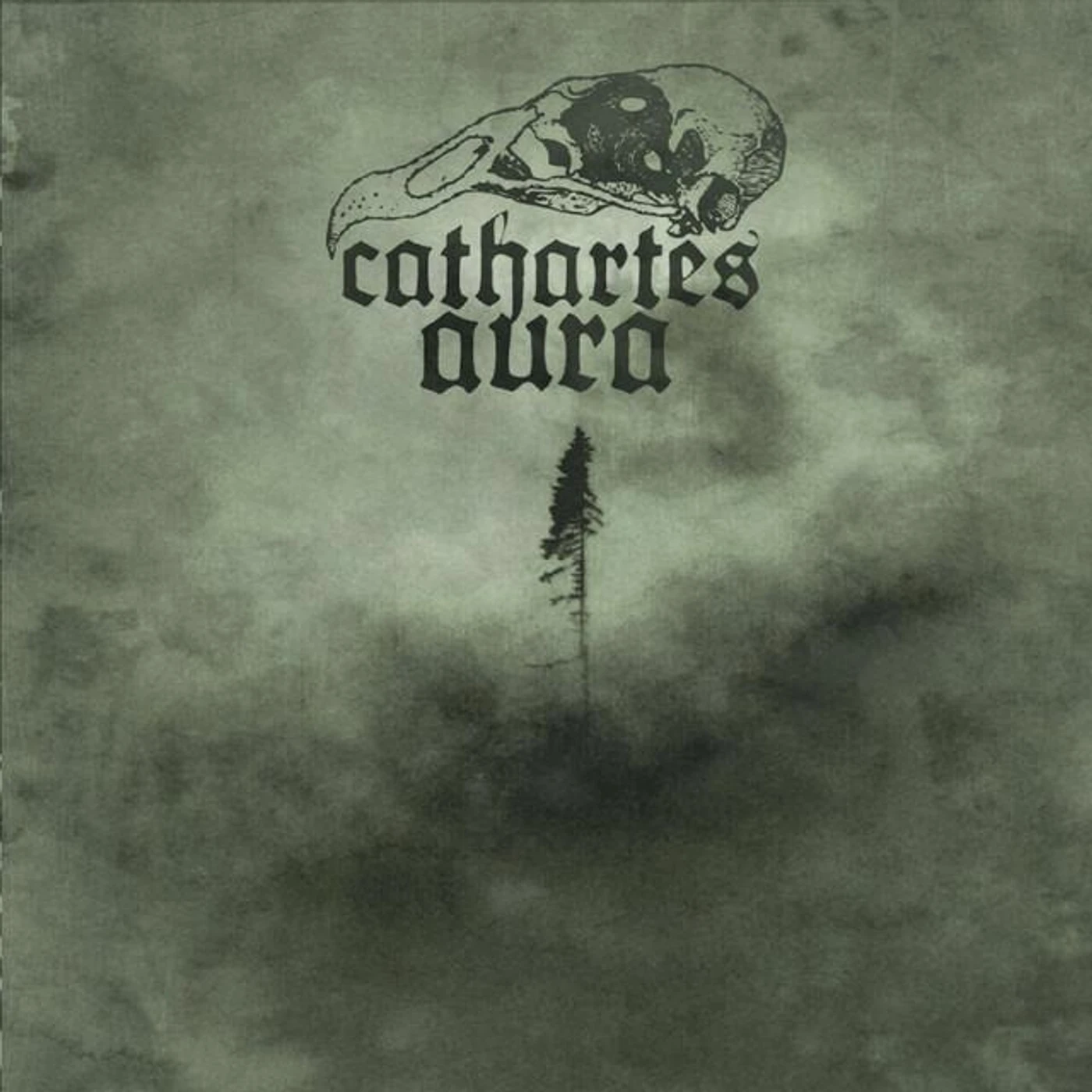 Cathartes Aura