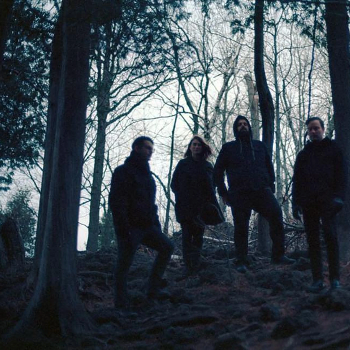 Century Palm Brand Page