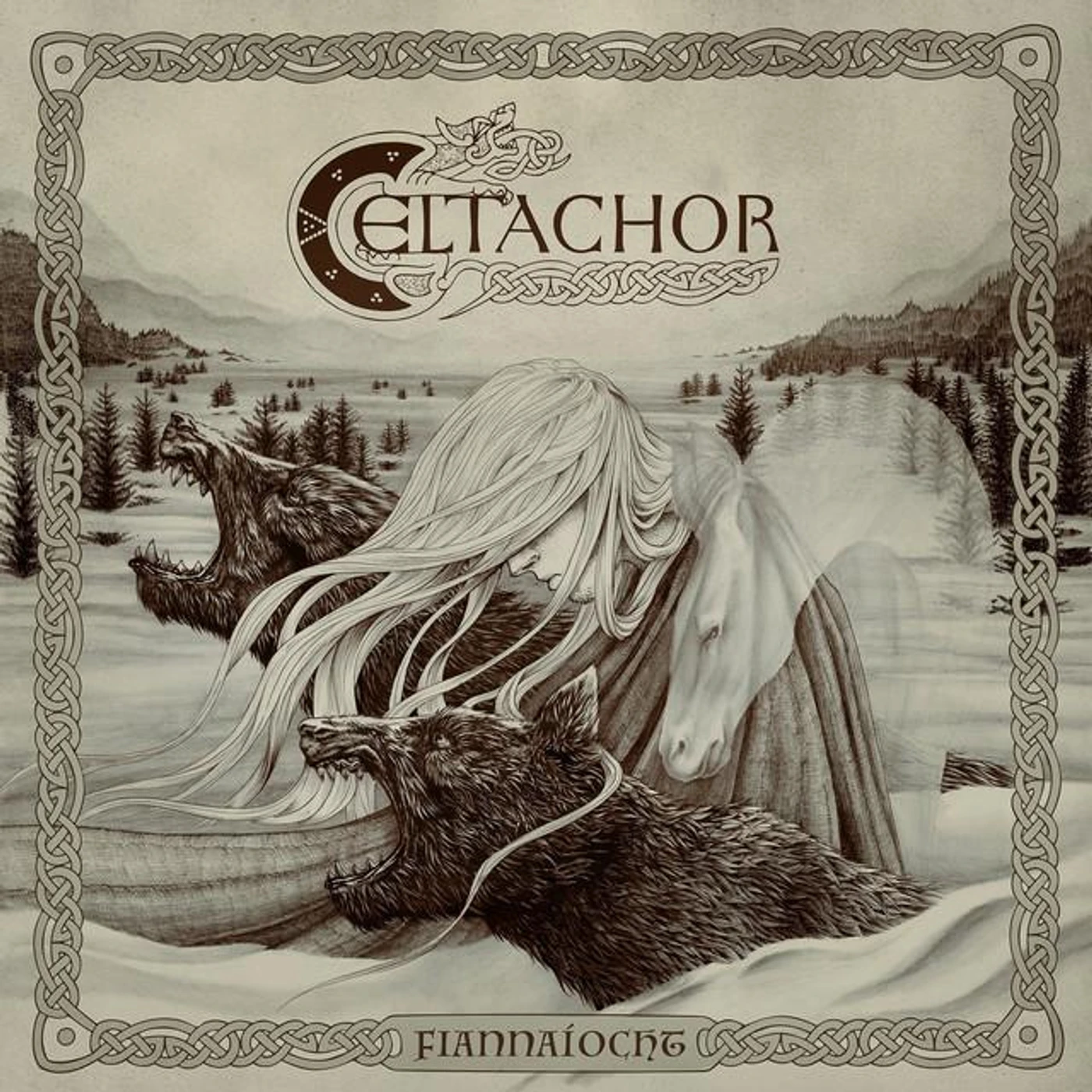 Celtachor Brand Page