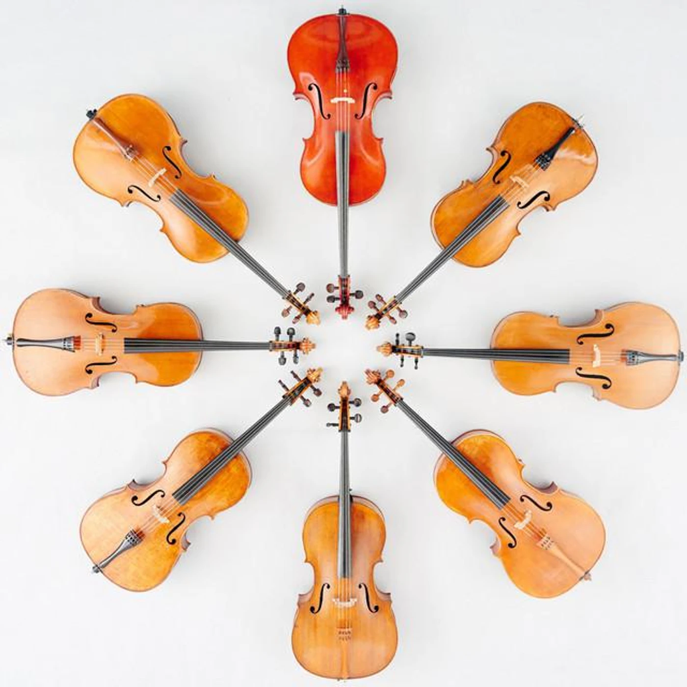 Ô-Celli Brand Page